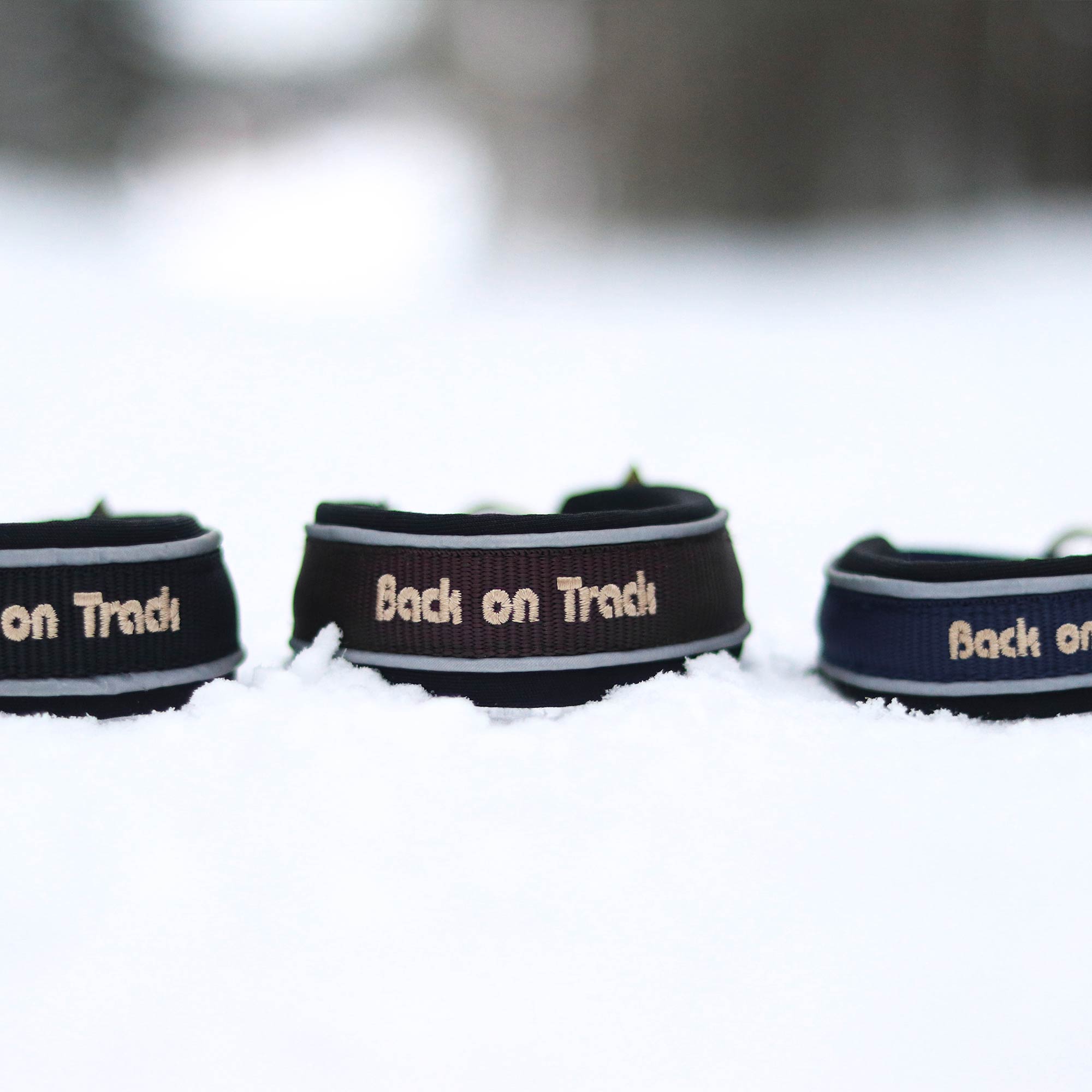 "Charlie" Dog Collar