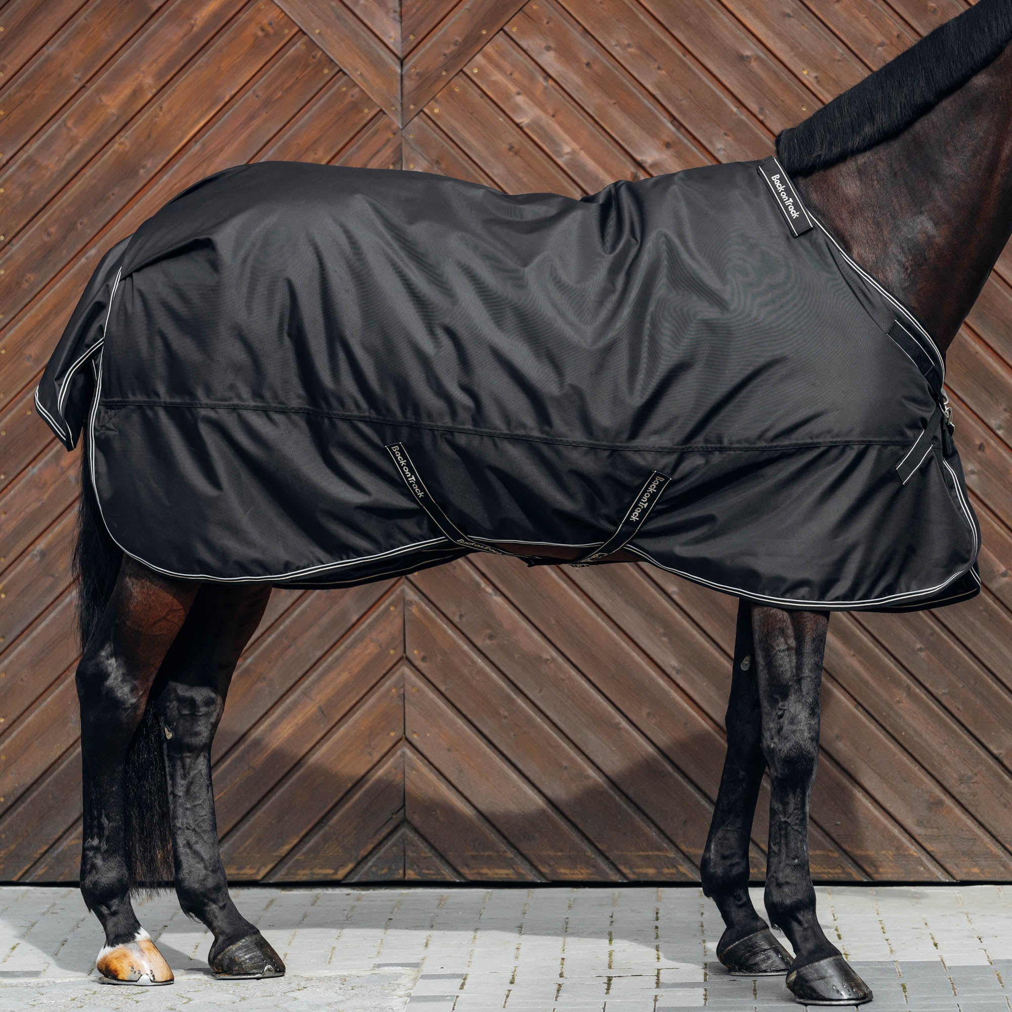 "Obsidian" Turnout Rug with Neck Cover
