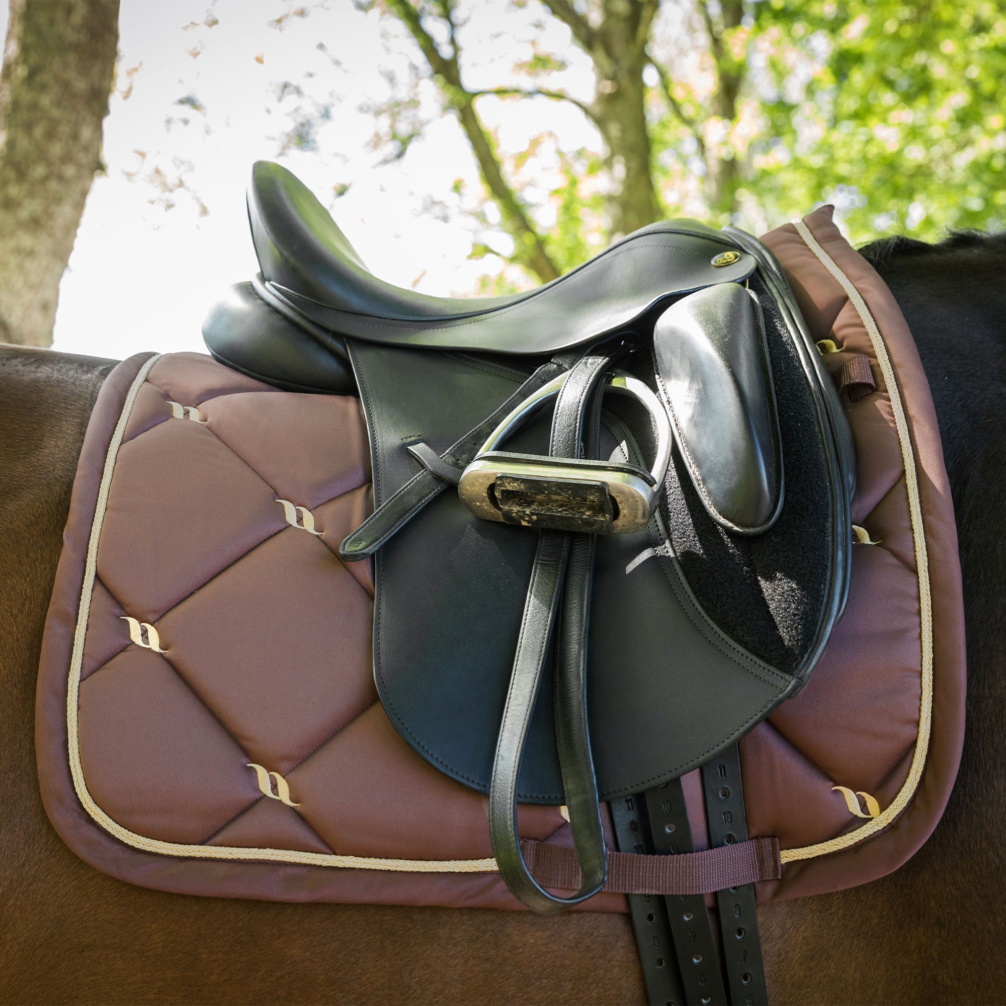 "Nights Collection" Saddle Pad Dressage Coffee