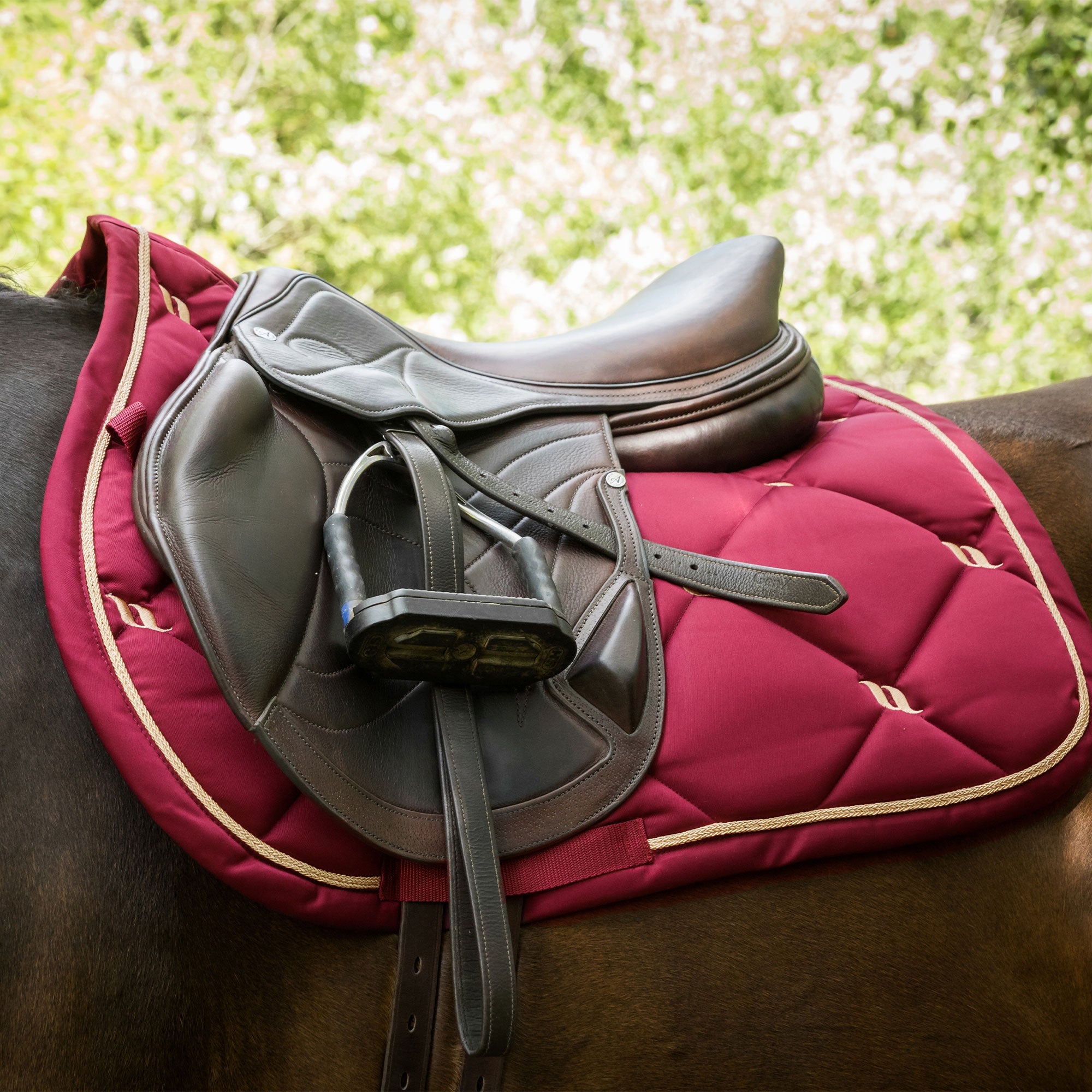 "Nights Collection" Saddle Pad Jumping Dark Red