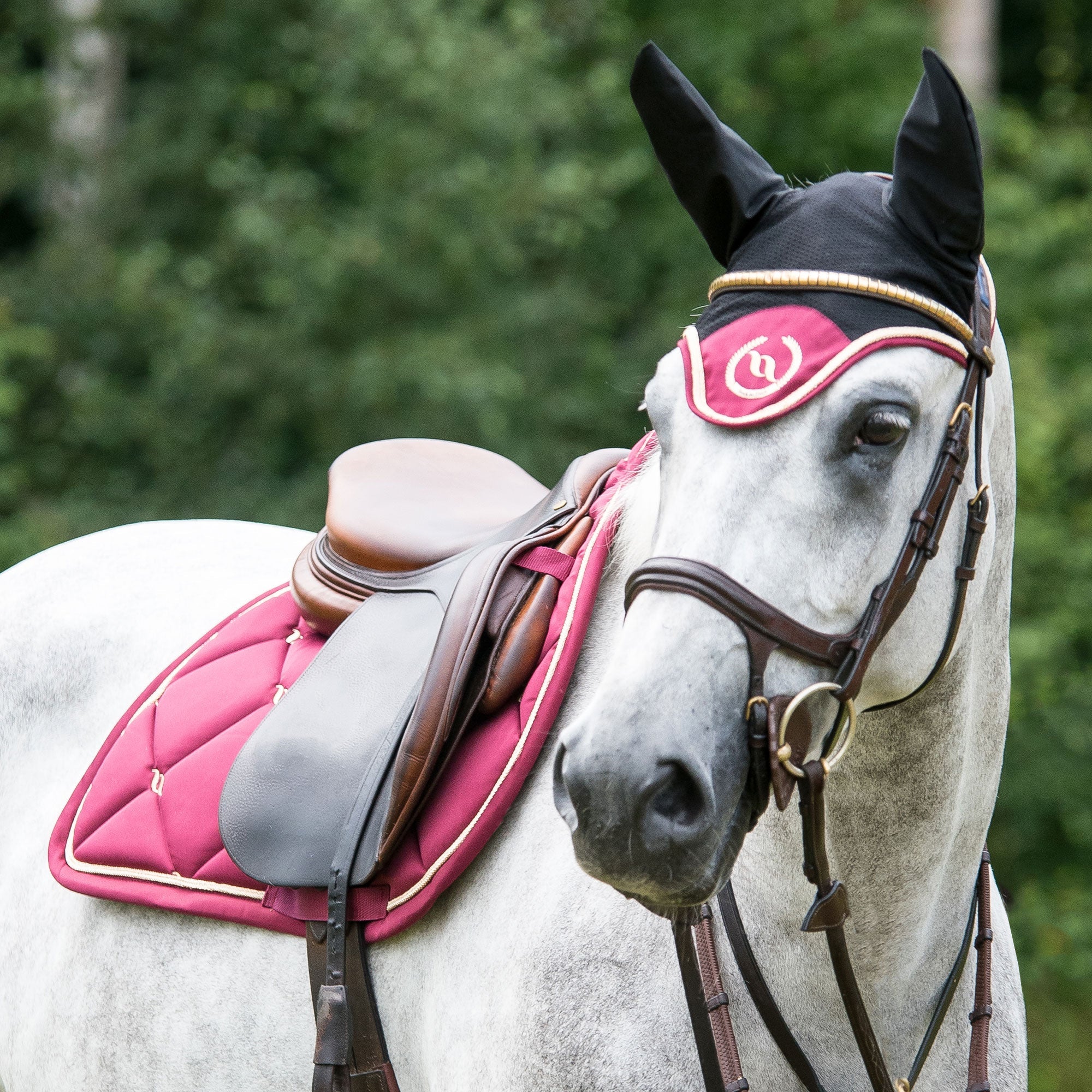 "Nights Collection" Saddle Pad Jumping Dark Red
