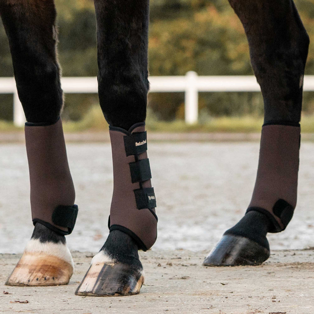 "Opal" Exercise Boots, Hind Legs