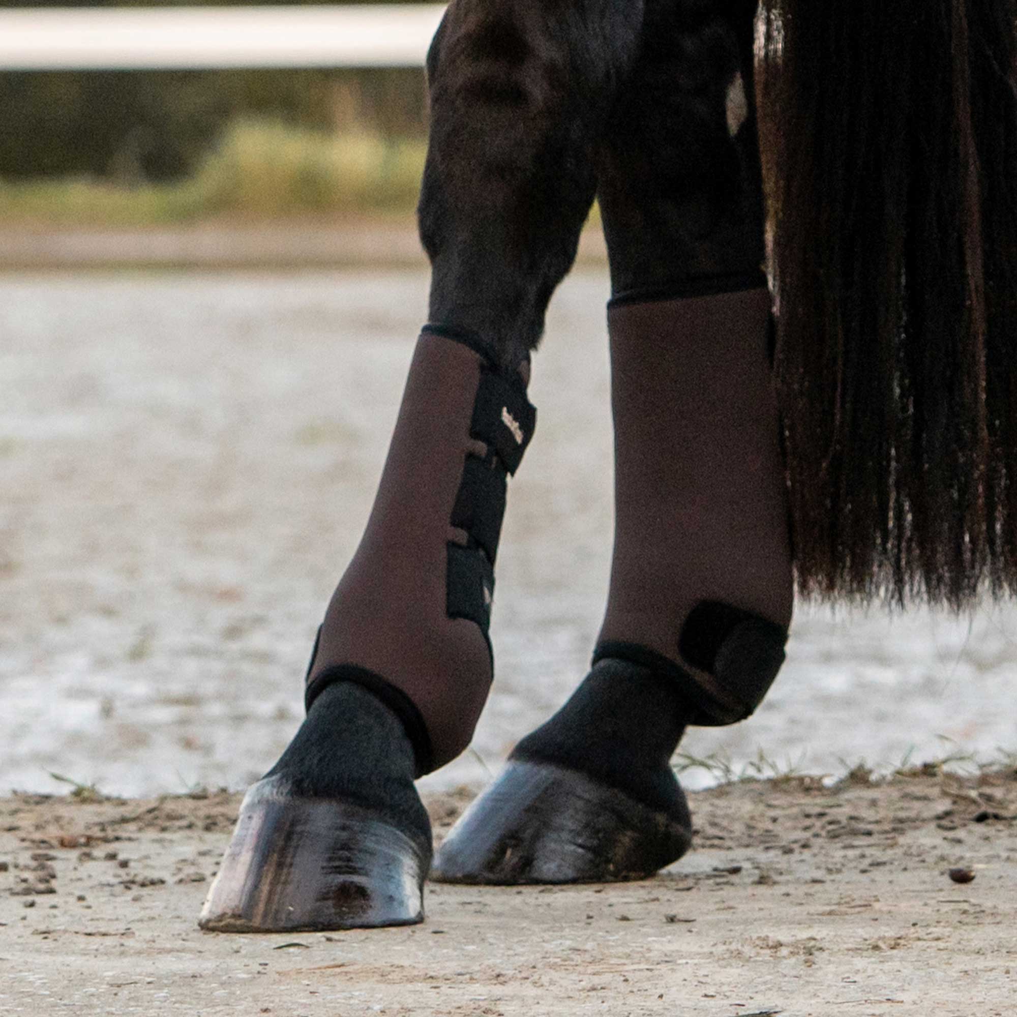 "Opal" Exercise Boots, Hind Legs