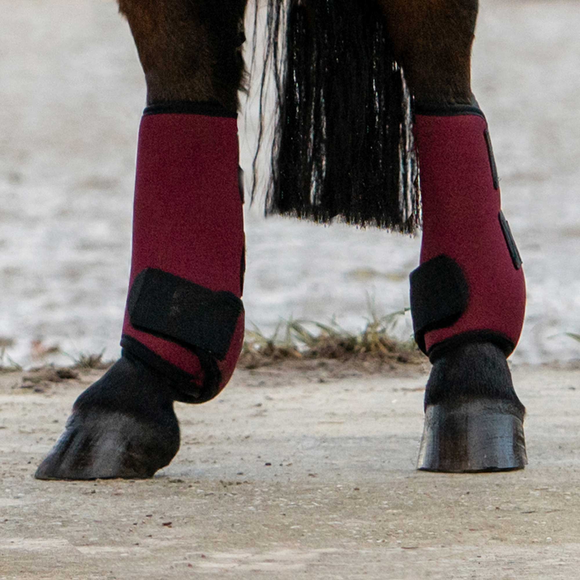 "Opal" Exercise Boots, Hind Legs