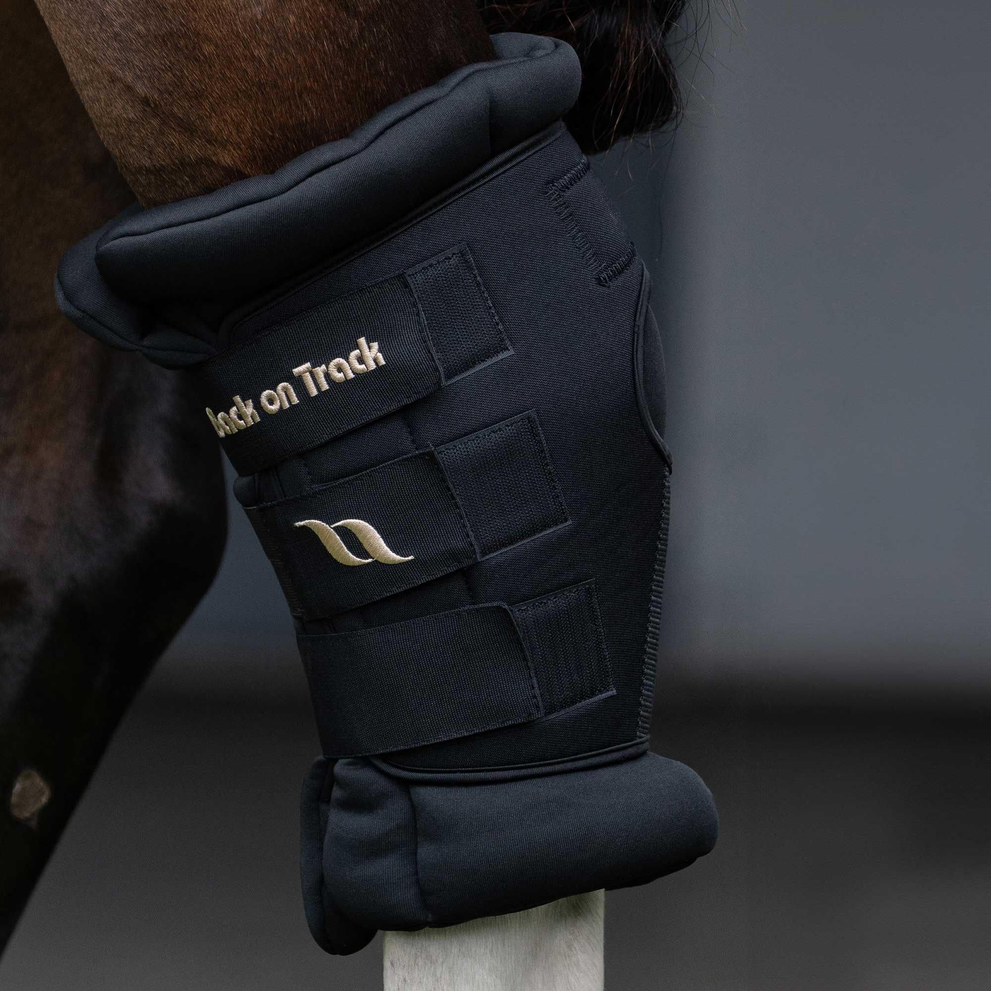 Royal Hock Boots Deluxe (Pair)