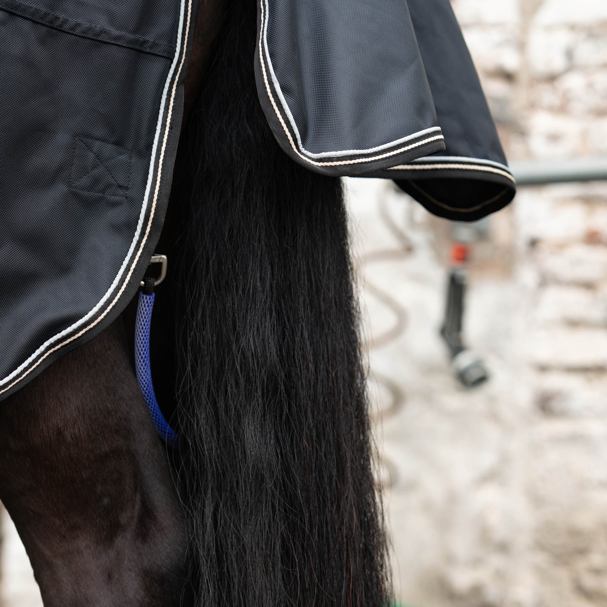 "Obsidian" Turnout Rug with Neck Cover