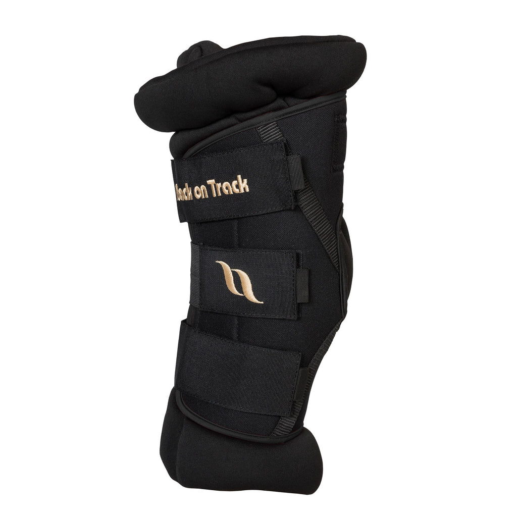 Royal Hock Boots Deluxe (Pair)