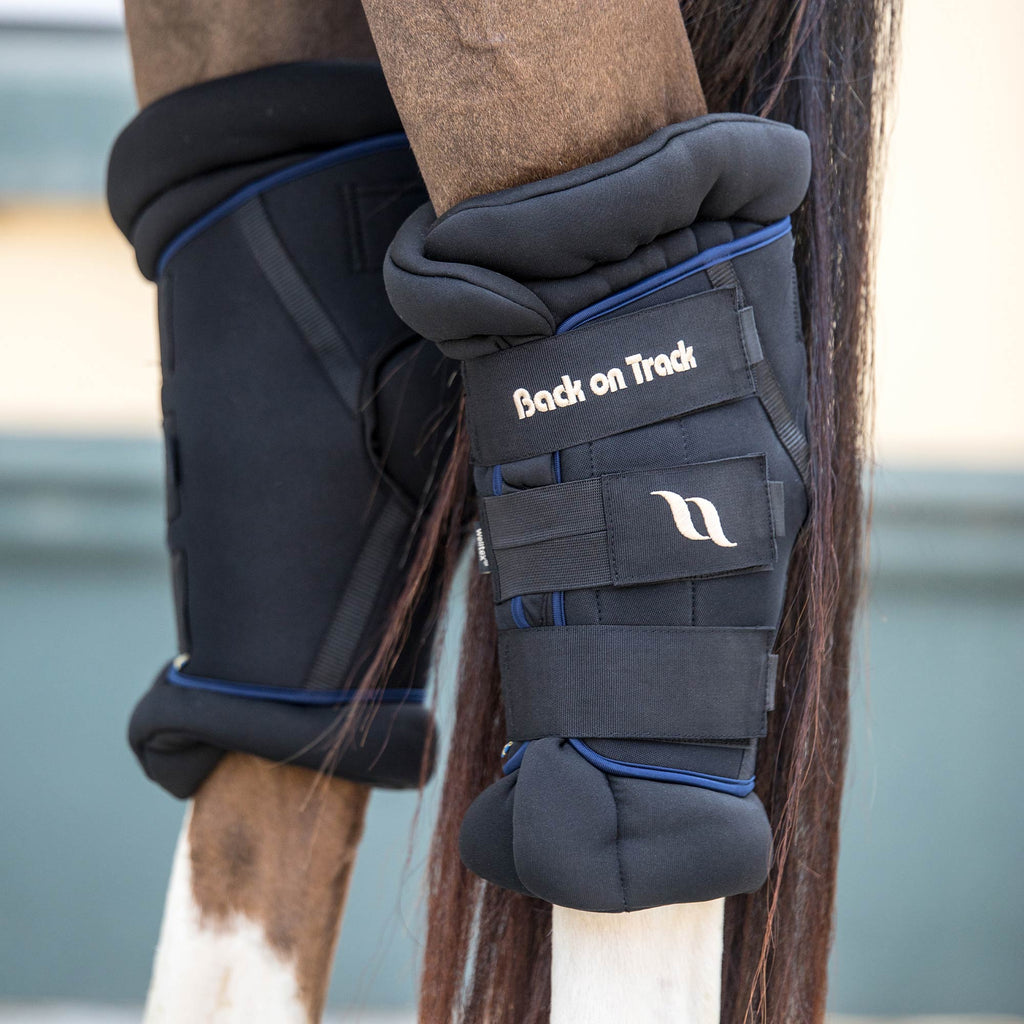 Royal Hock Boots Deluxe (Pair)