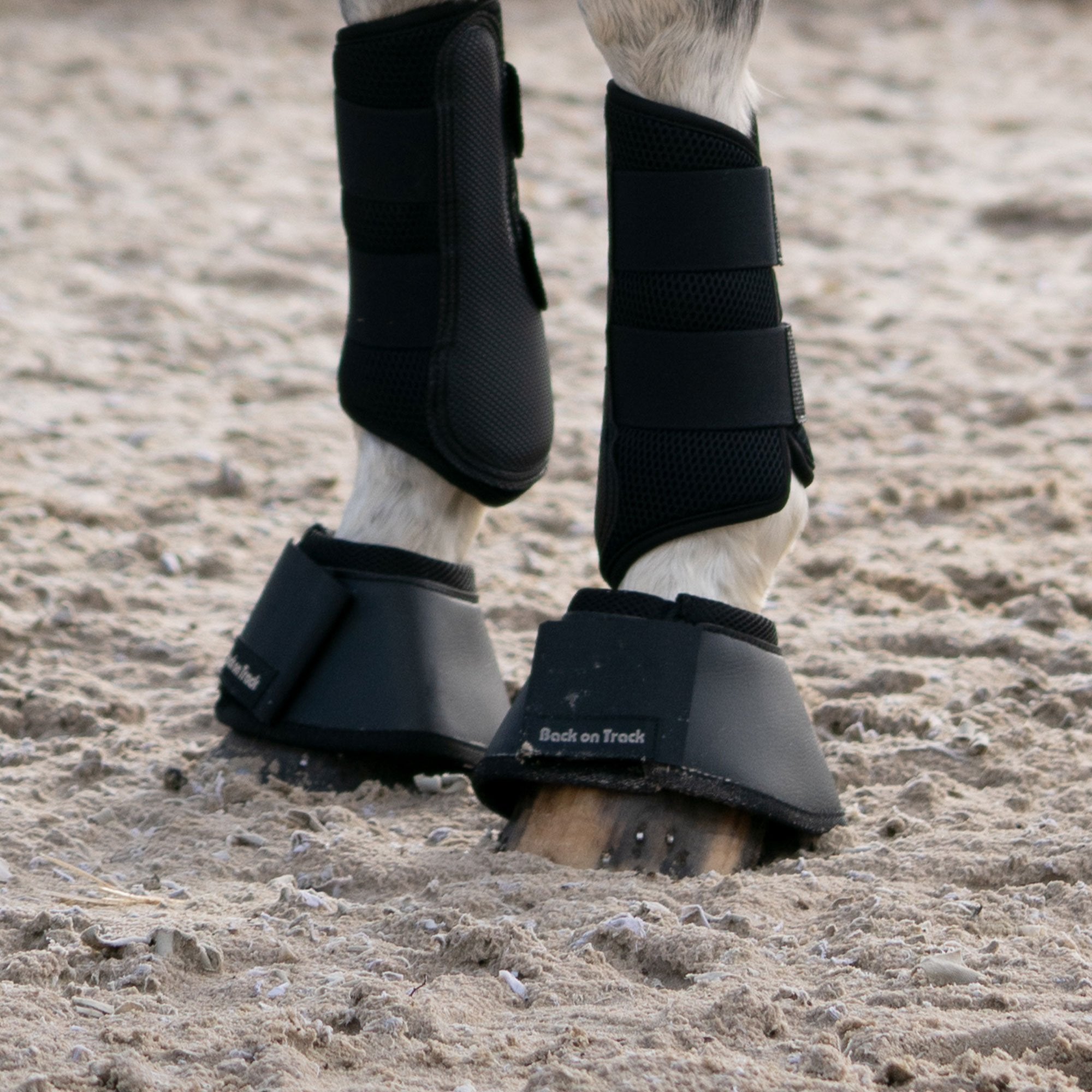 Hästboots - Back on Track Sverige (5300214268059)