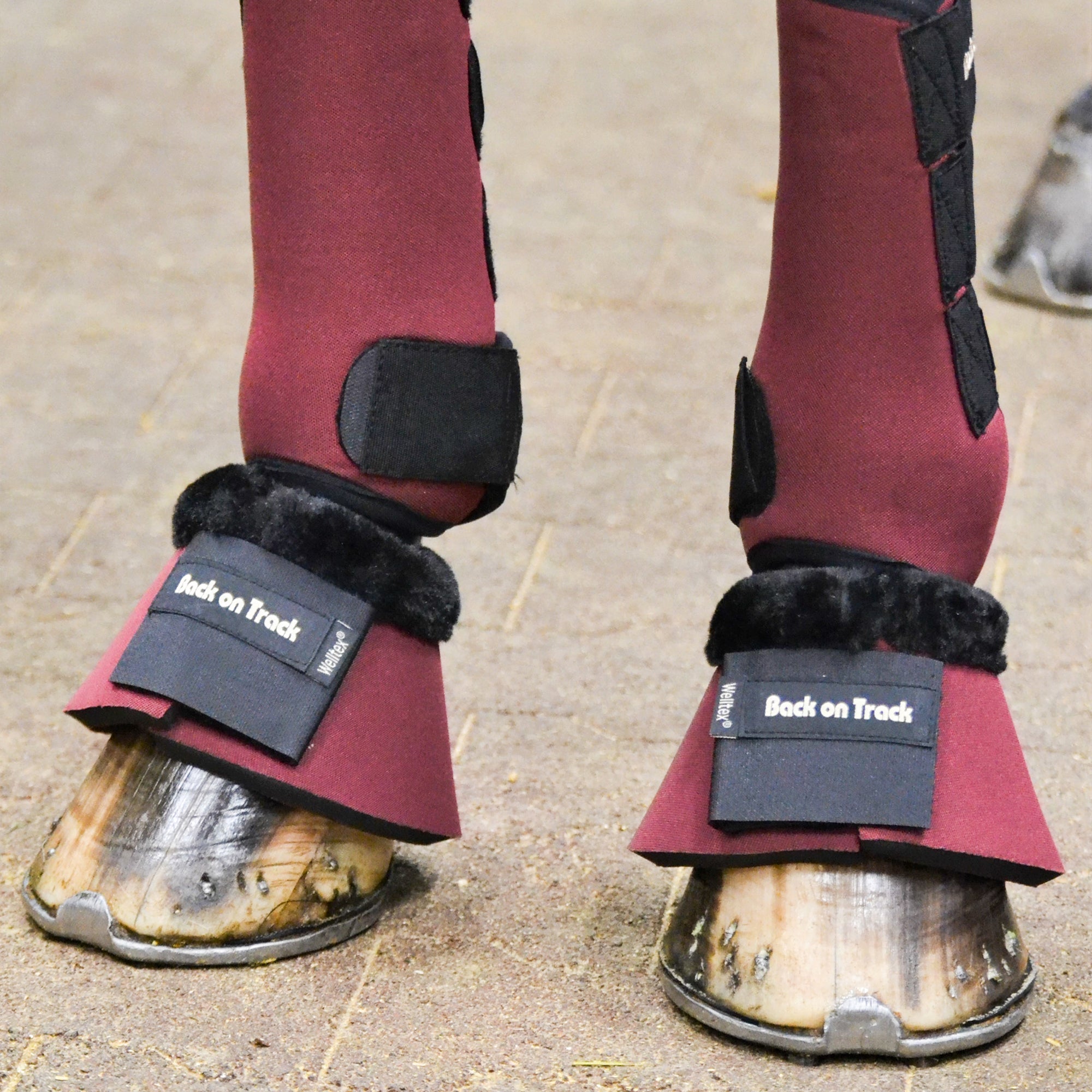 Welt Bell Boots