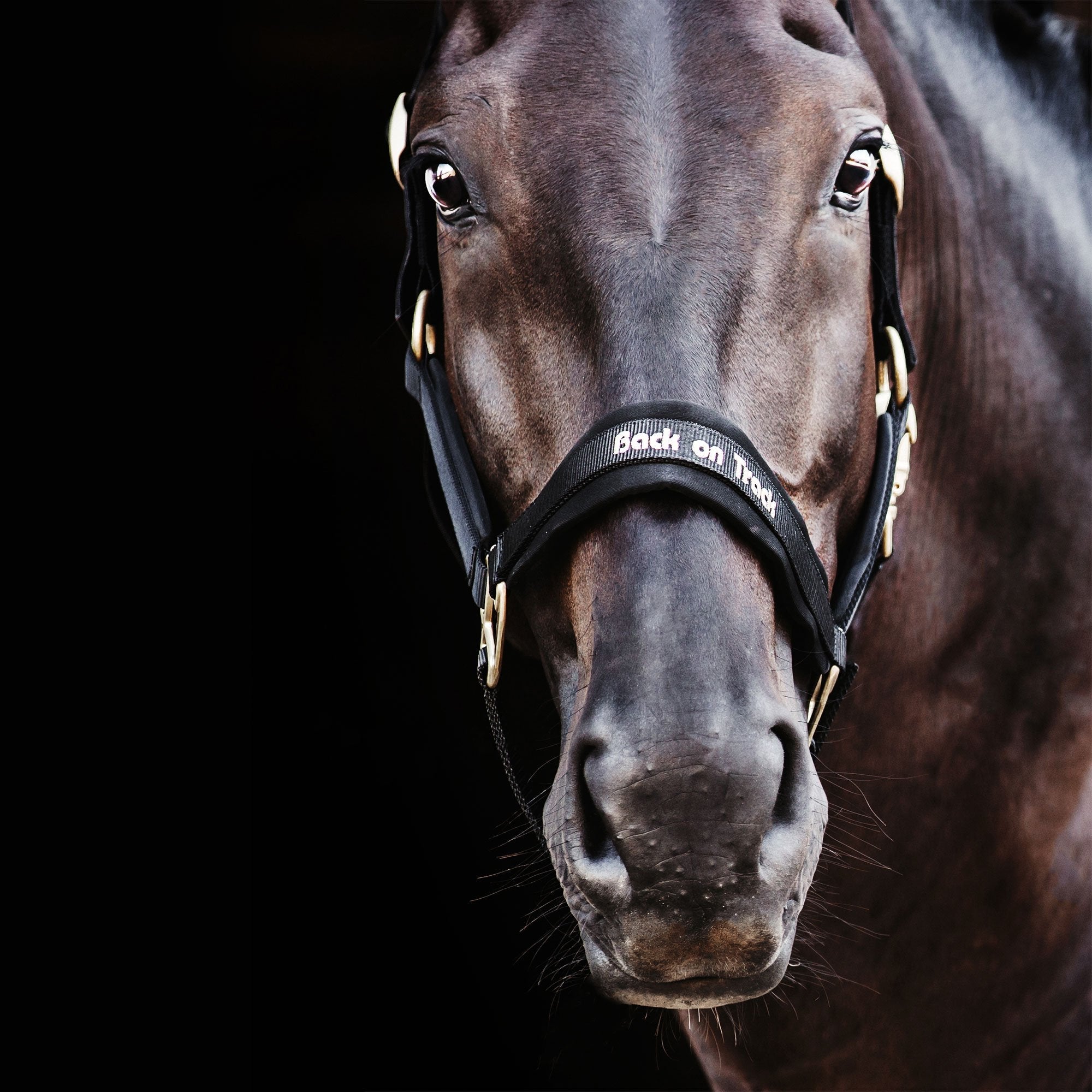 "Werano" Halter
