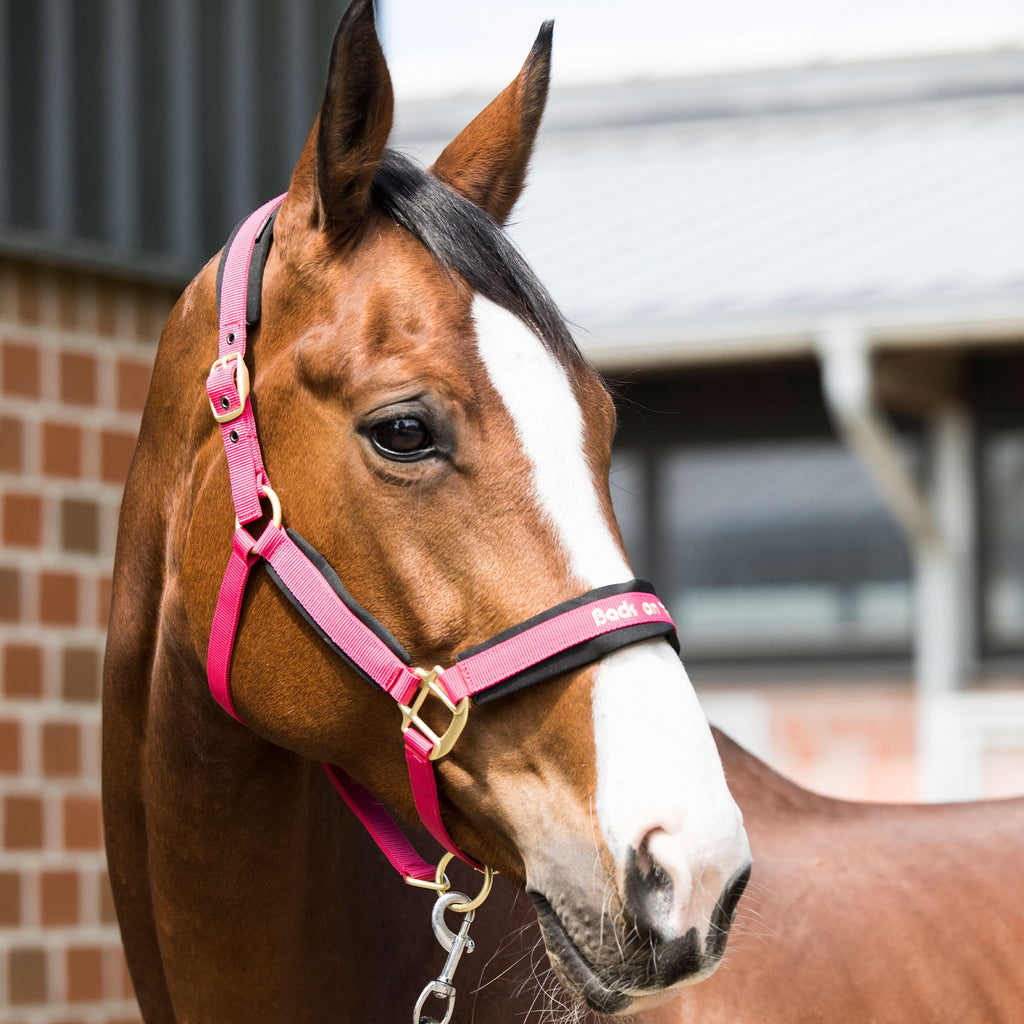 "Werano" Halter - Red