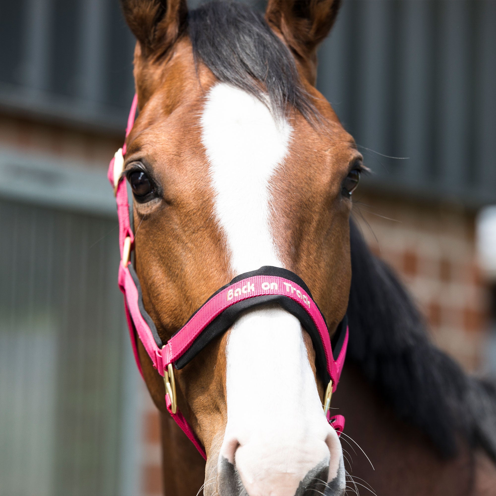 "Werano" Halter - Red