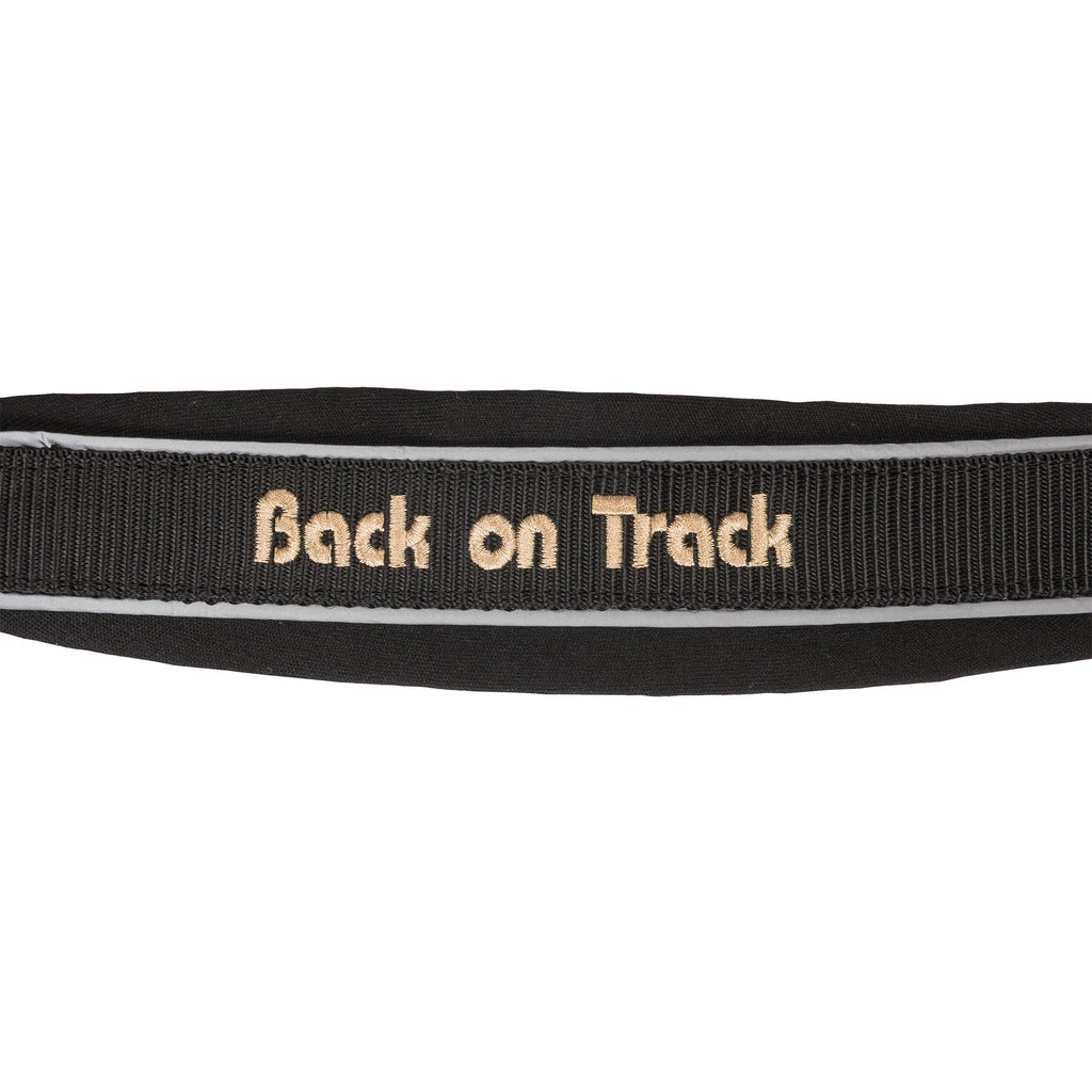 "Werano" Reflective Halter