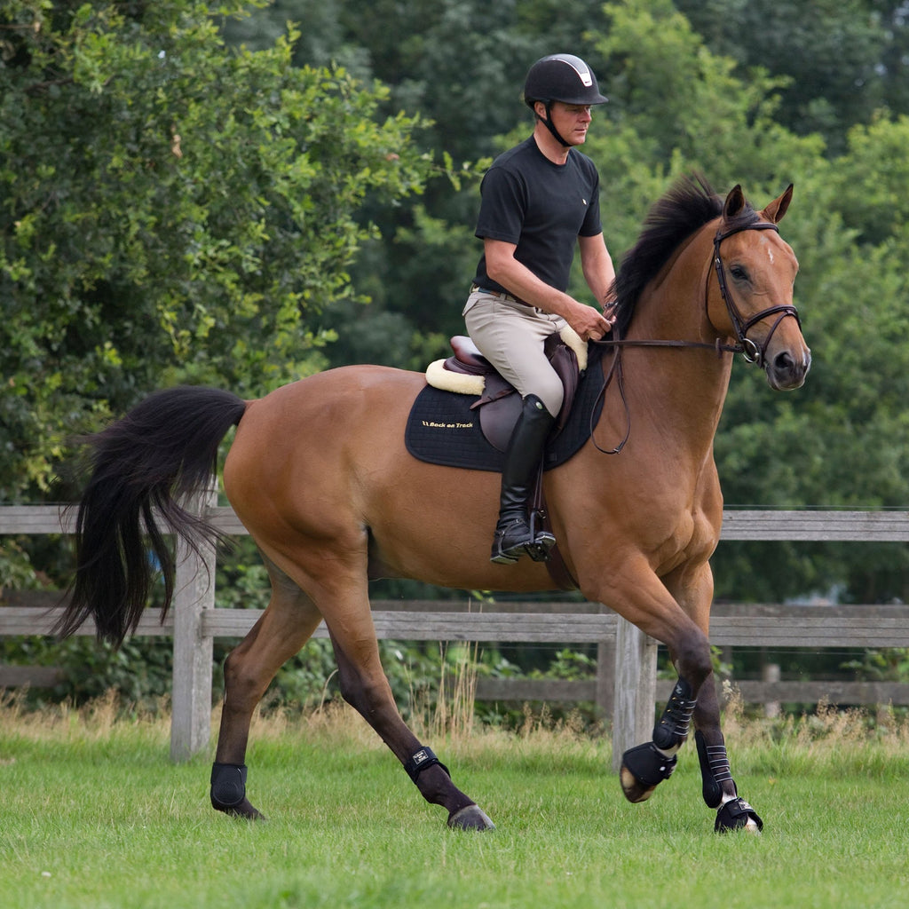 Benskydd Royal - Back on Track Sverige (5300243955867)