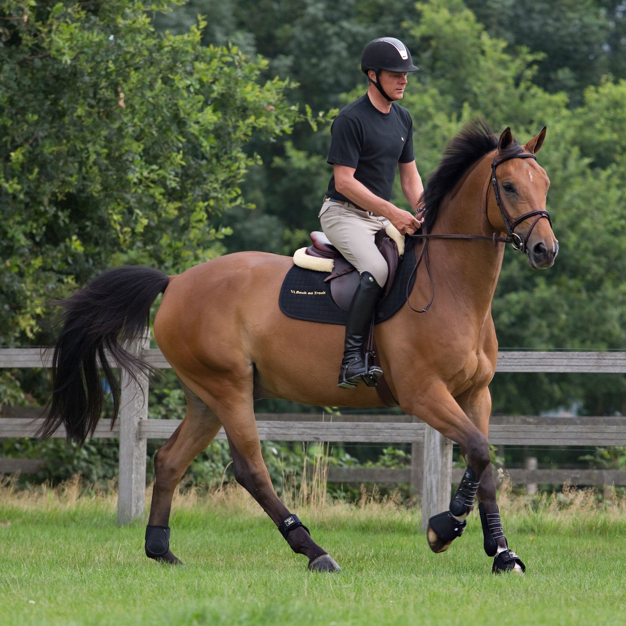 Benskydd Royal - Back on Track Sverige (5300243955867)