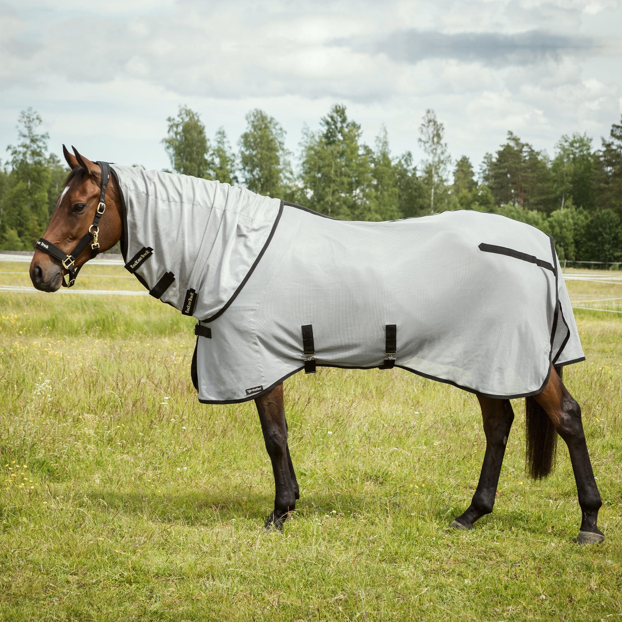 "Buzter" Fly Rug with Neck