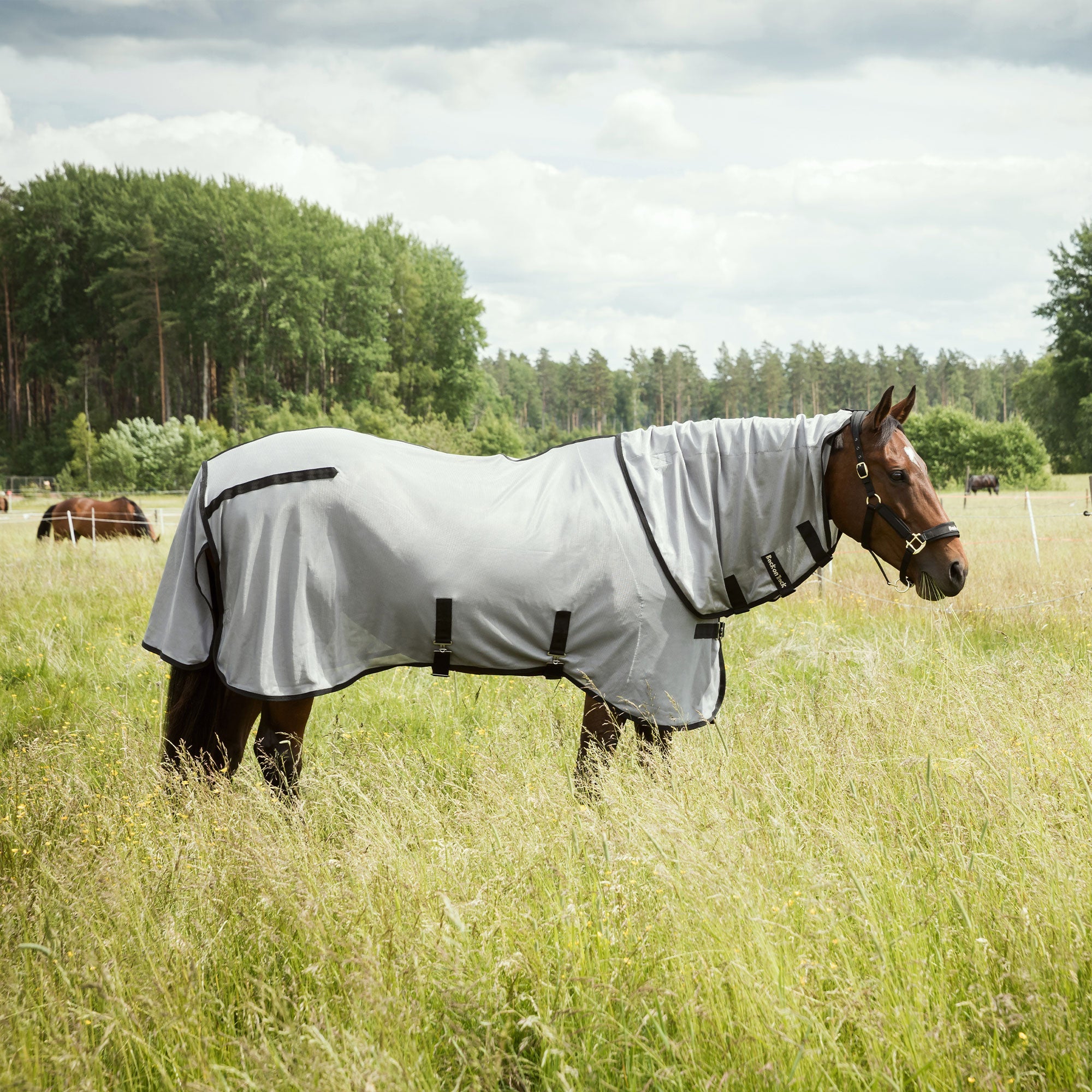 "Buzter" Fly Rug with Neck
