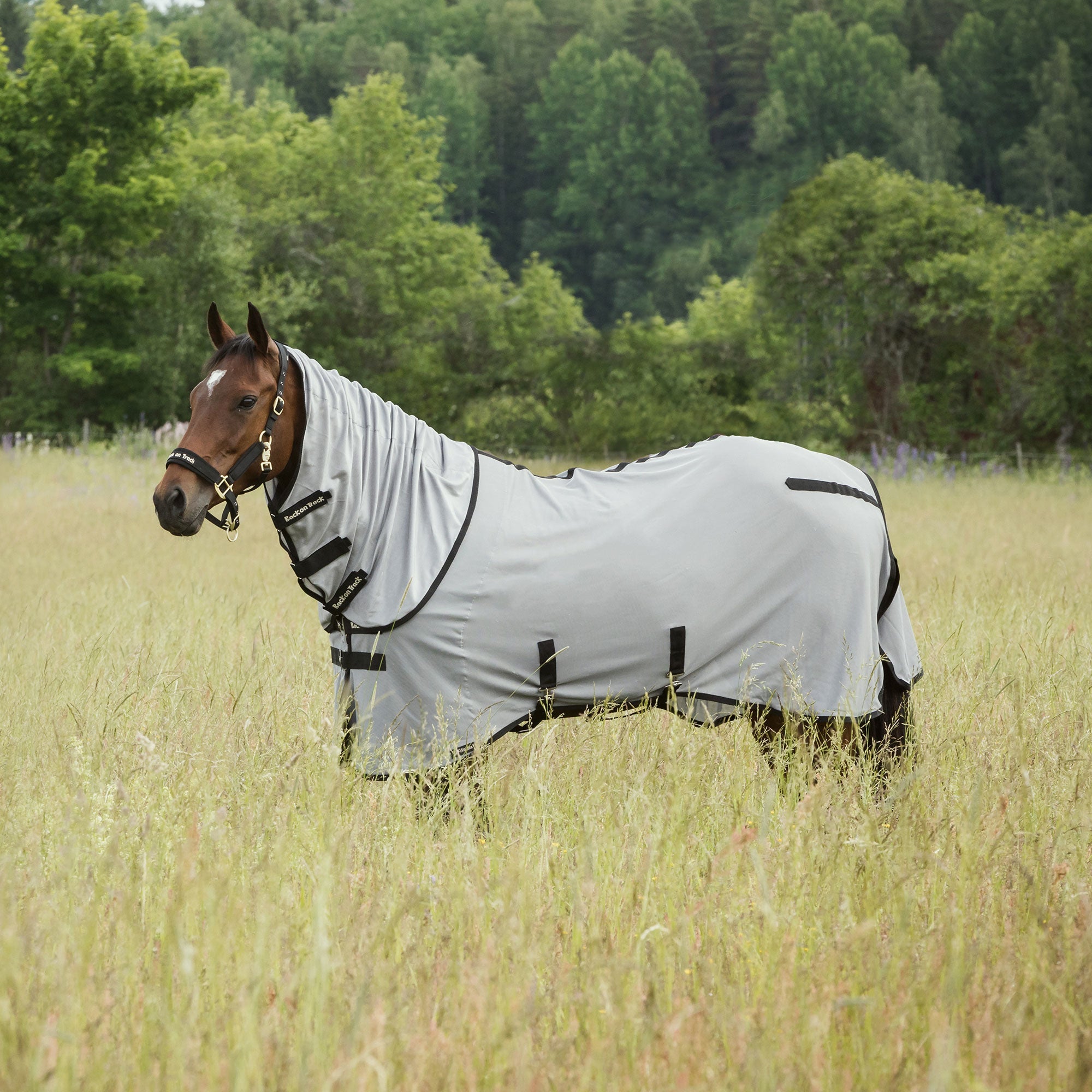 "Buzter" Fly Rug with Neck