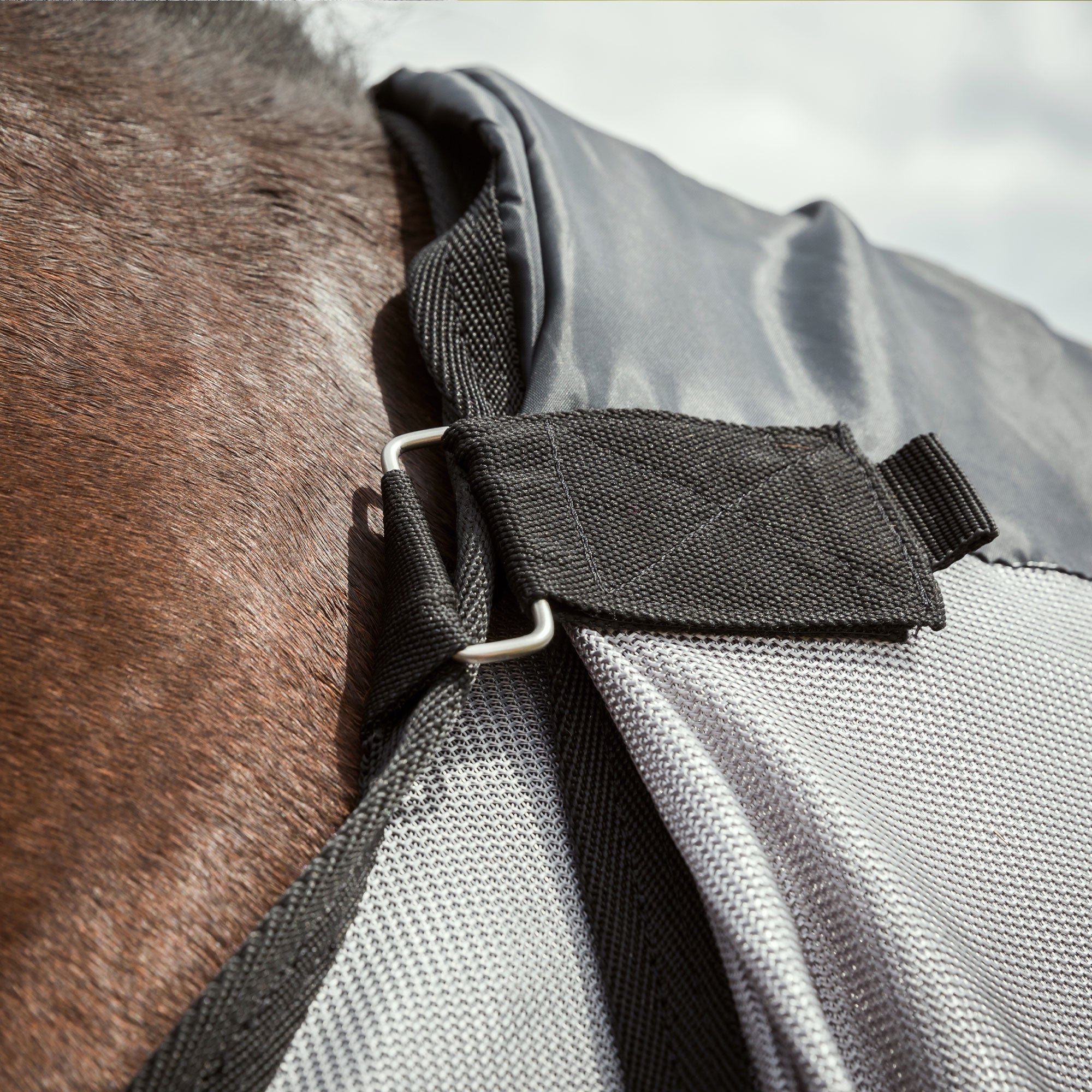"Buzter" Fly Rug with Neck