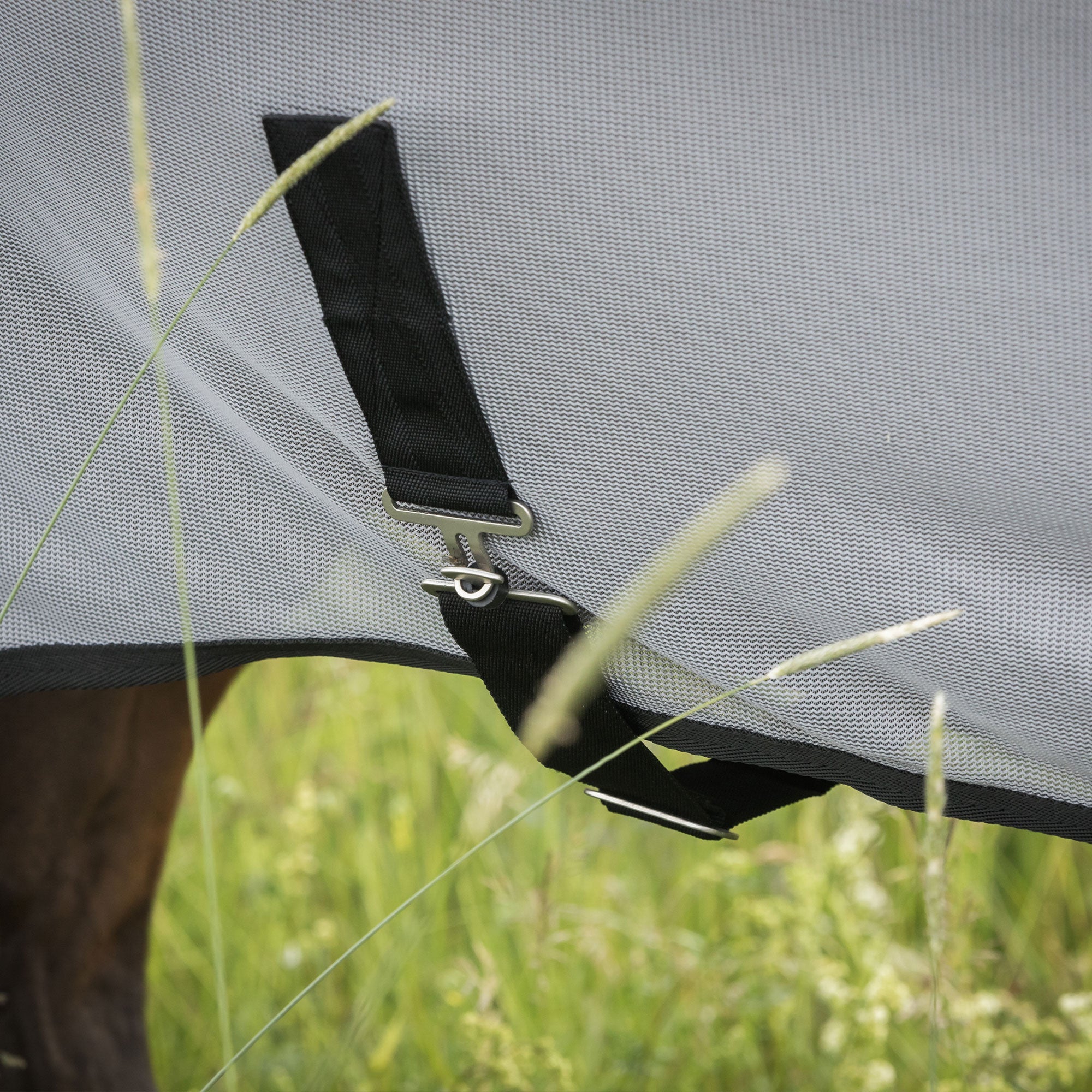 "Buzter" Fly Rug