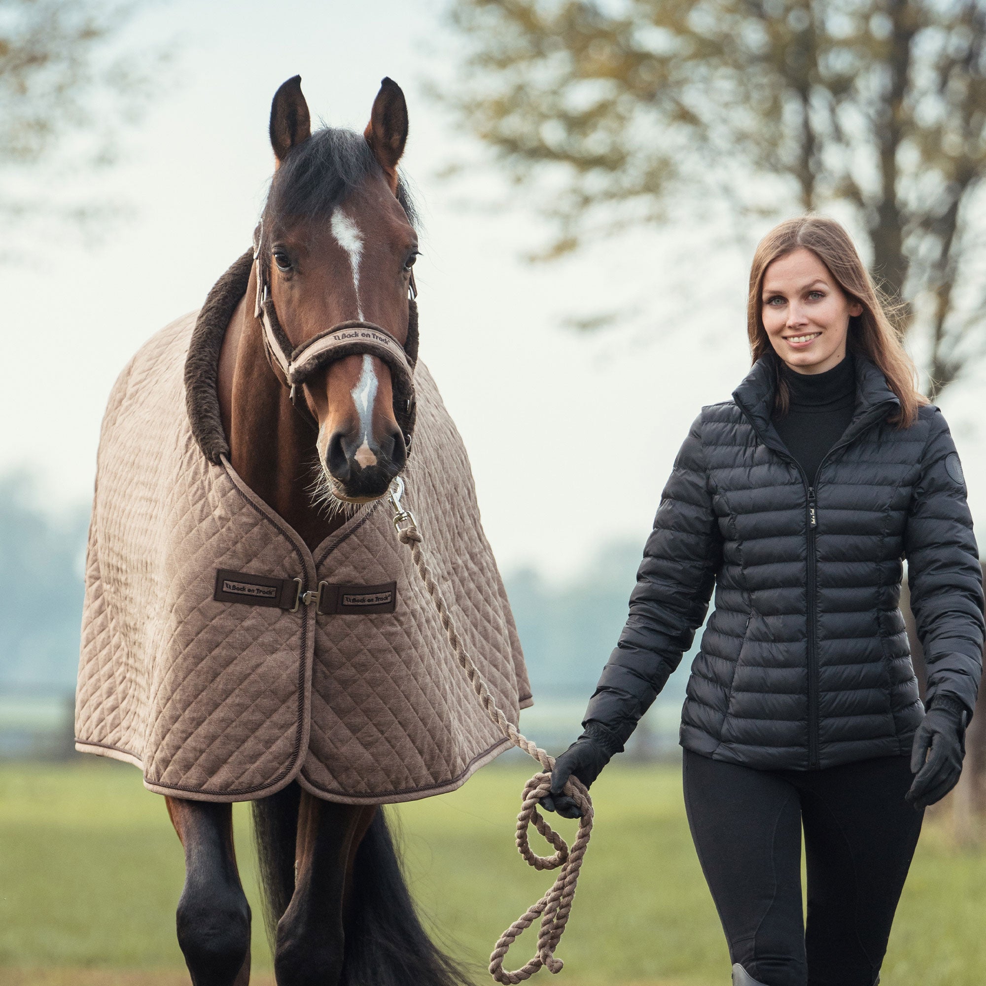 "Haze Collection" Horse rug