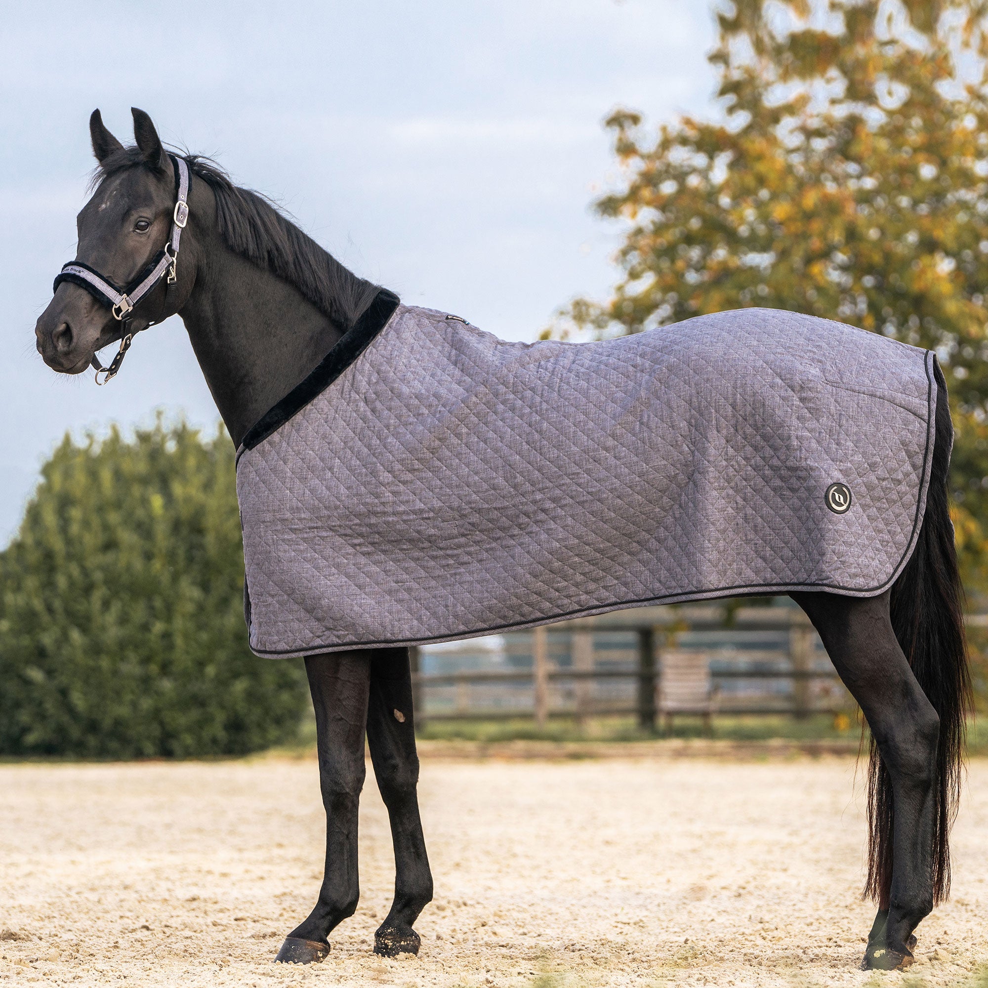 "Haze Collection" Horse rug