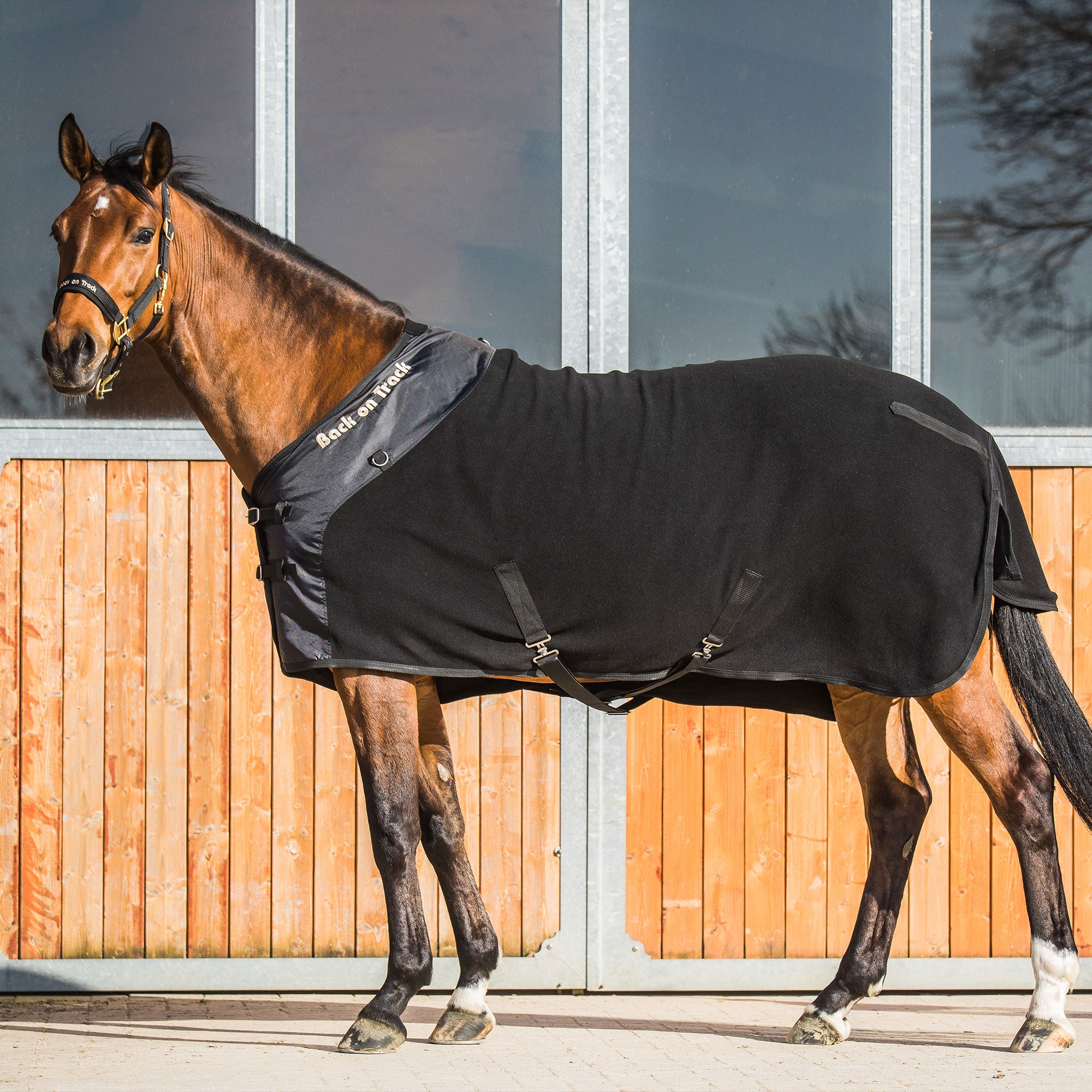 Fleece Rug Supreme with D-Rings