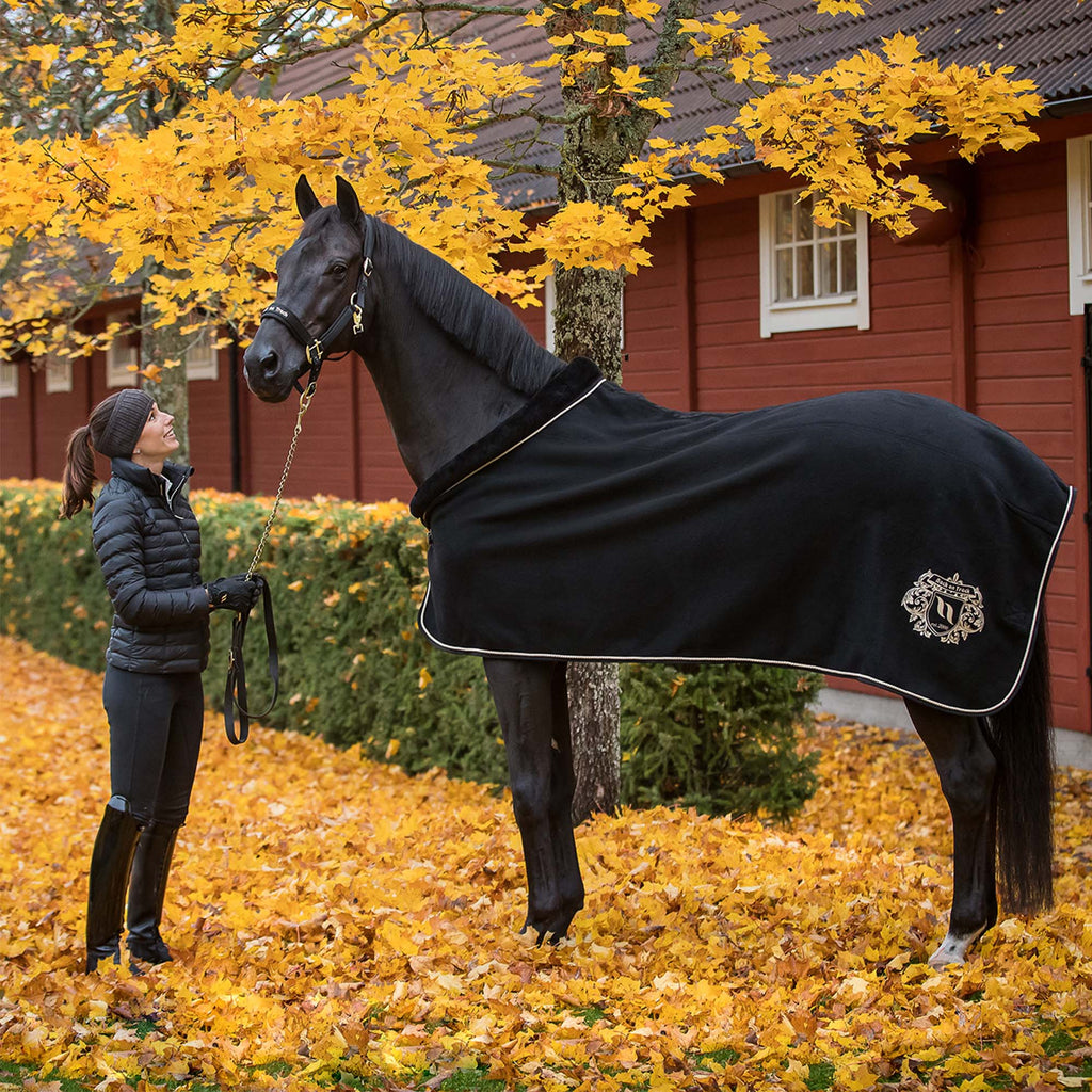 Hästtäcke Edward, Ulltäcke - Back on Track Sverige (5300184154267)