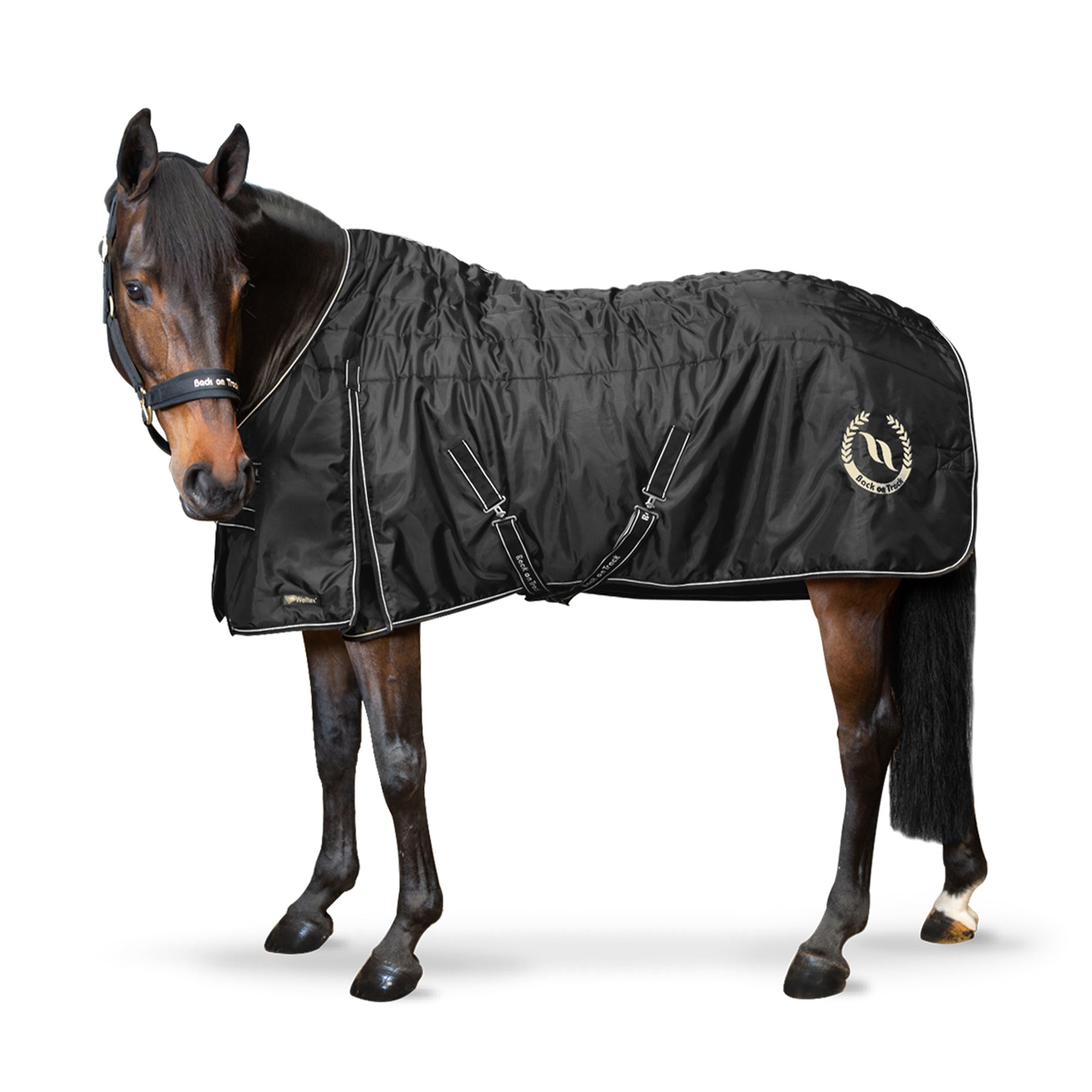 "Millie" Stable Rug 100g