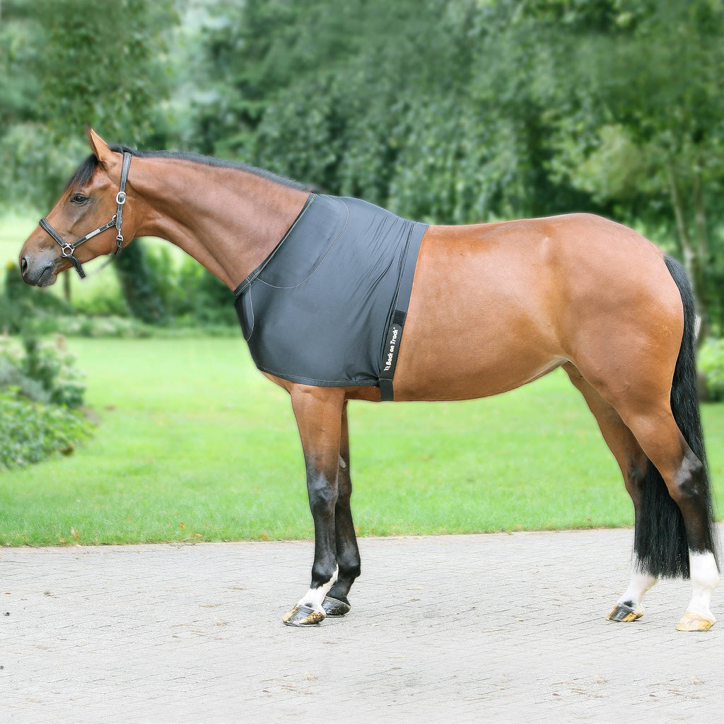 Bogskydd - Back on Track Sverige (5300193919131)