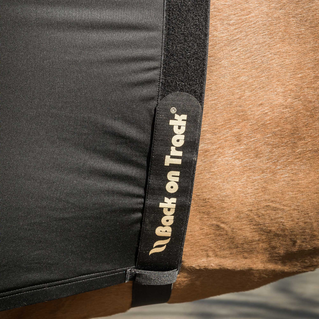 Shoulder Guard Light