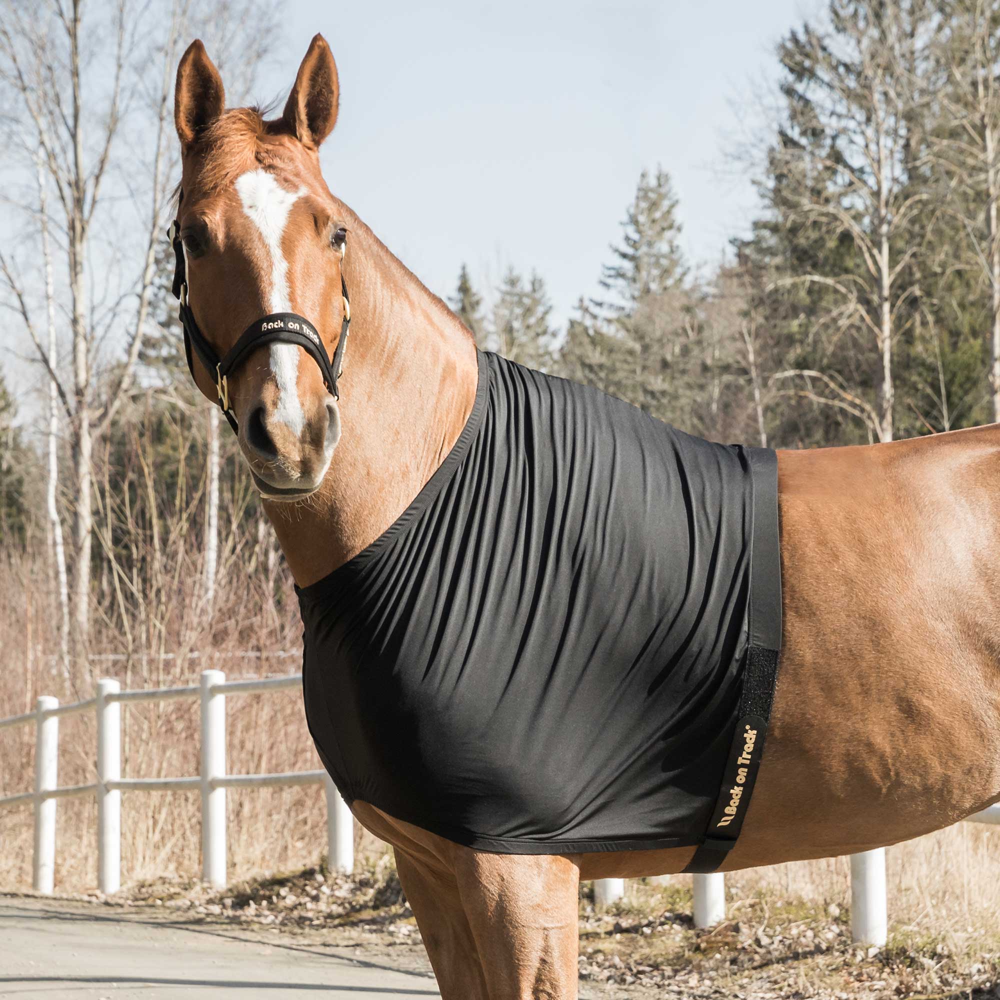 Shoulder Guard Light