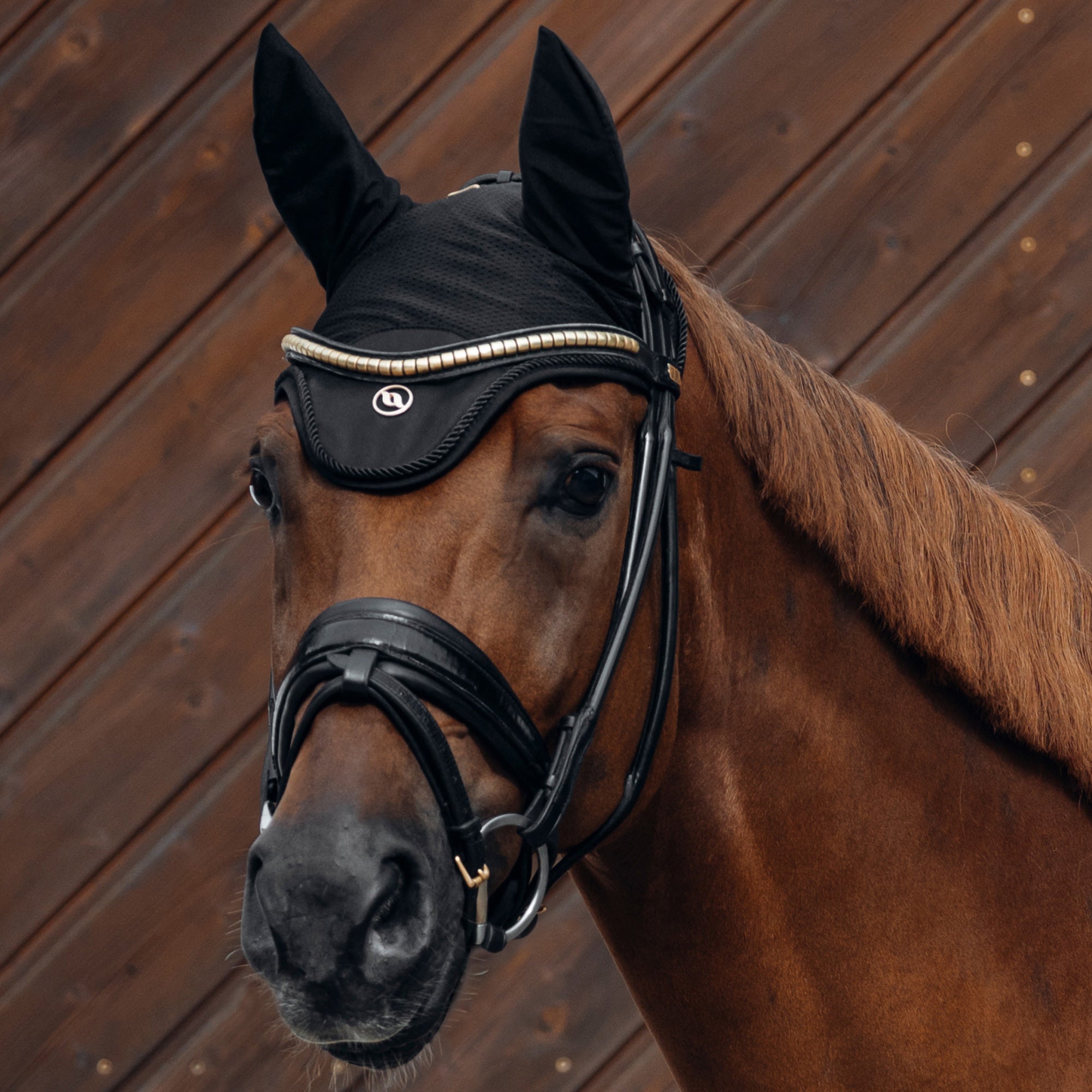 "Deep Nights" Horse Bonnet