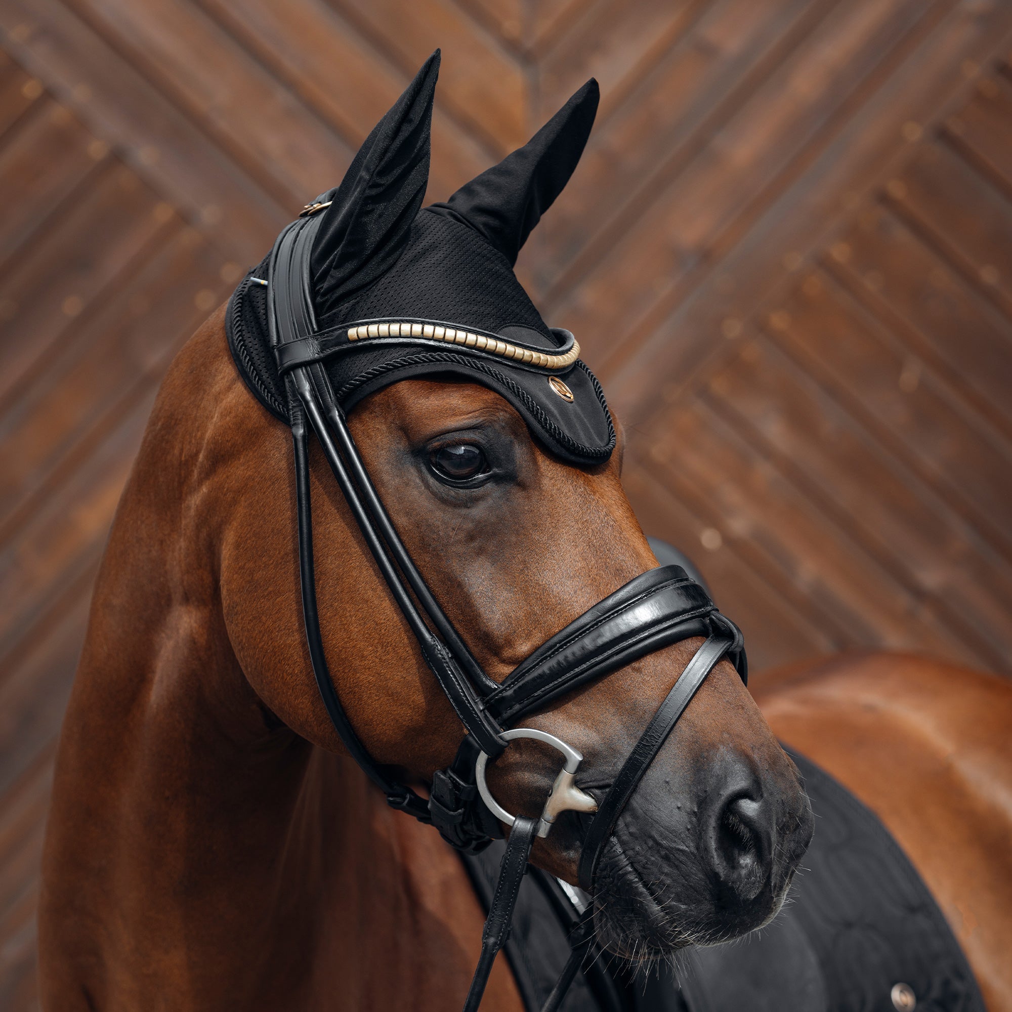 "Deep Nights" Horse Bonnet
