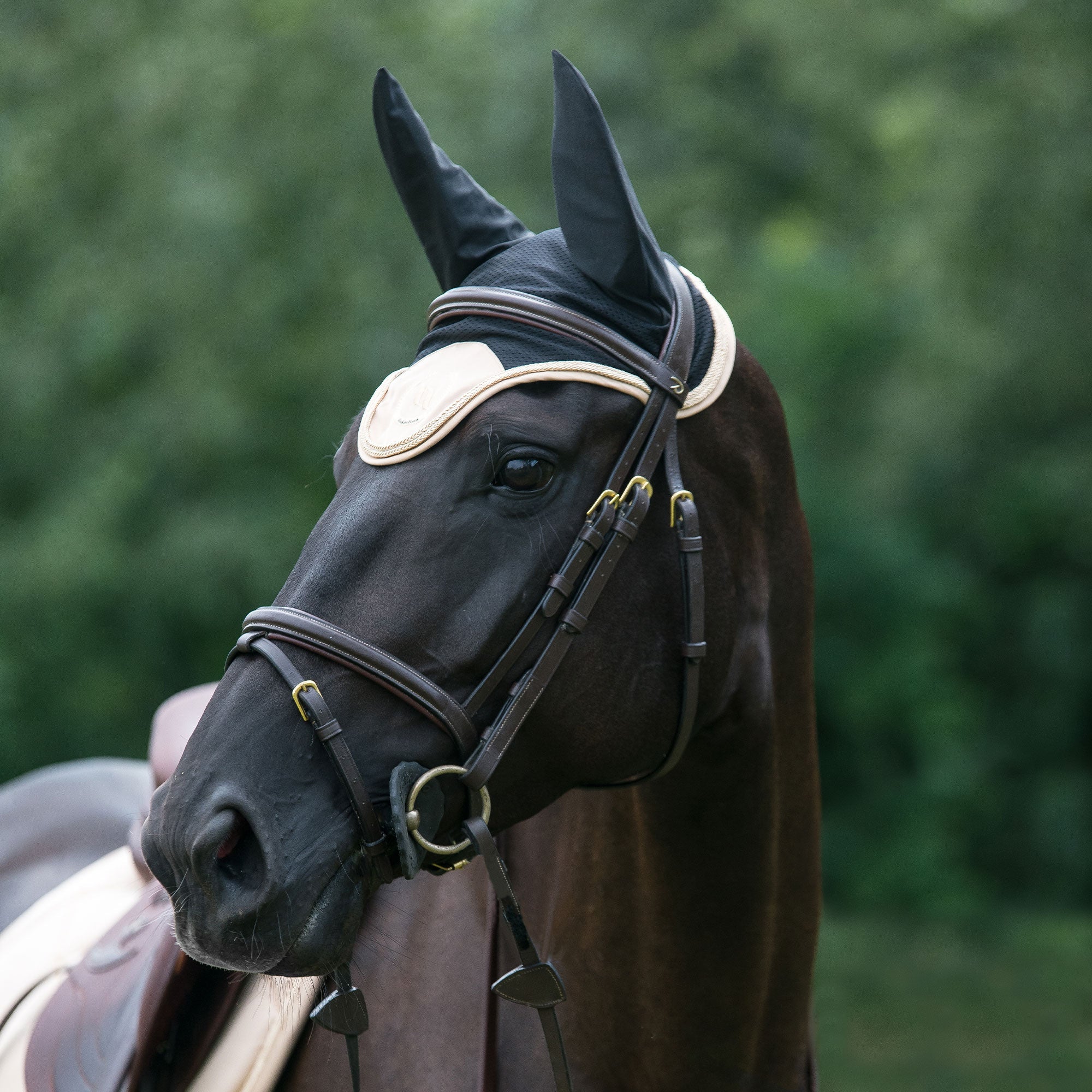 "Nights Collection" Horse Bonnet Champagne