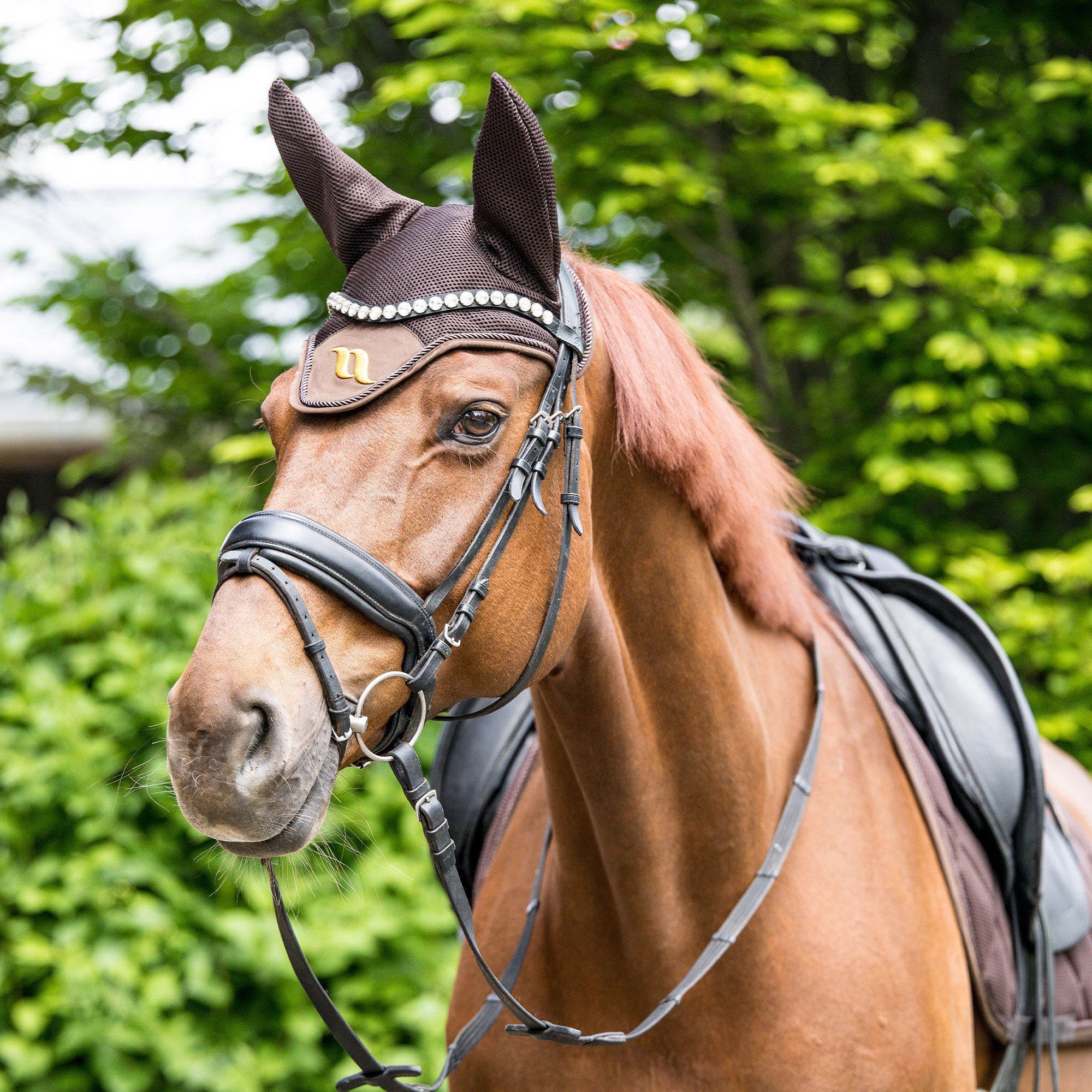 "AirFlow" Horse Bonnet - Brown