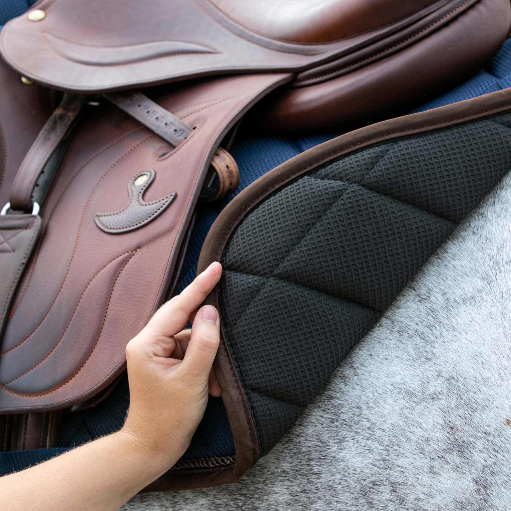 "AirFlow" Saddle Pad 3D Mesh Jumping - Blue