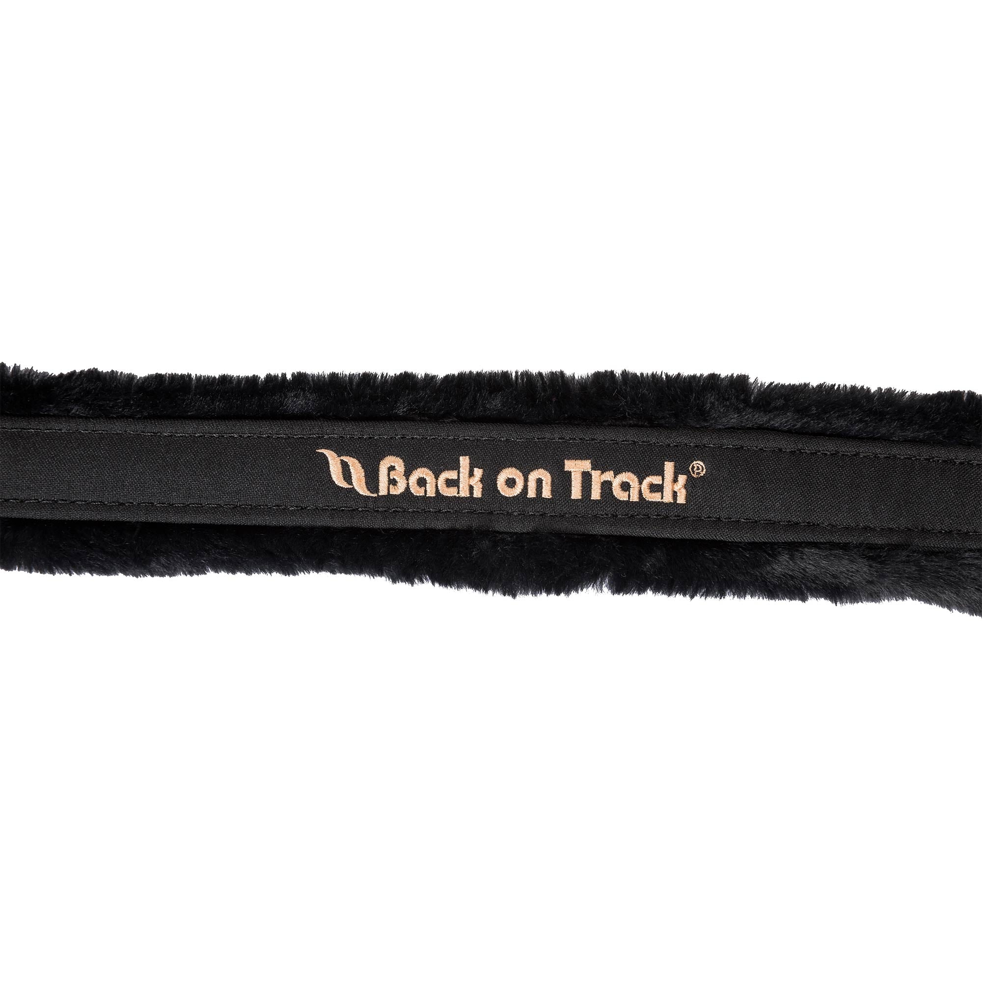 "Haze Collection" Halter - Black Rose