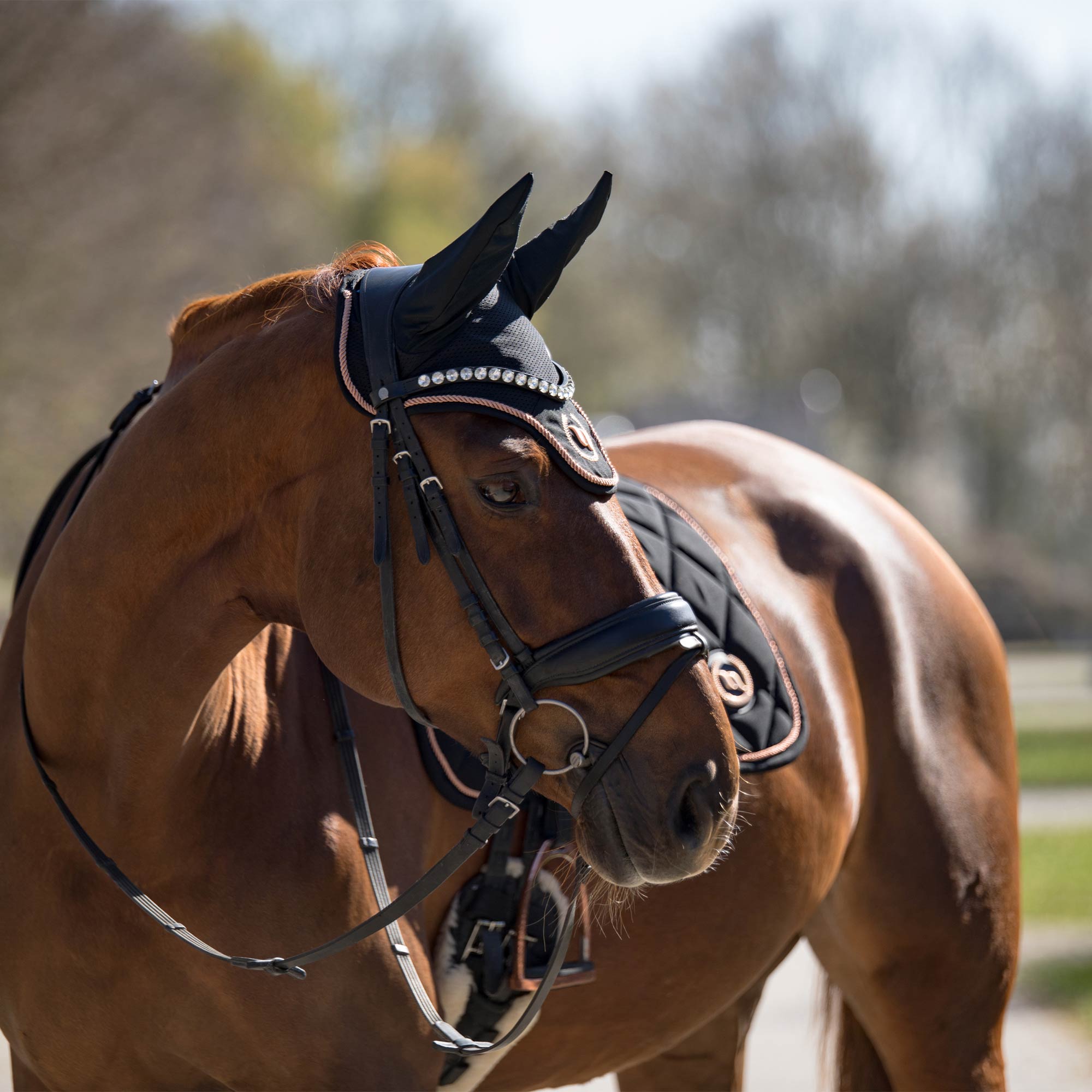 "Haze Collection" Horse Bonnet - Black Rose