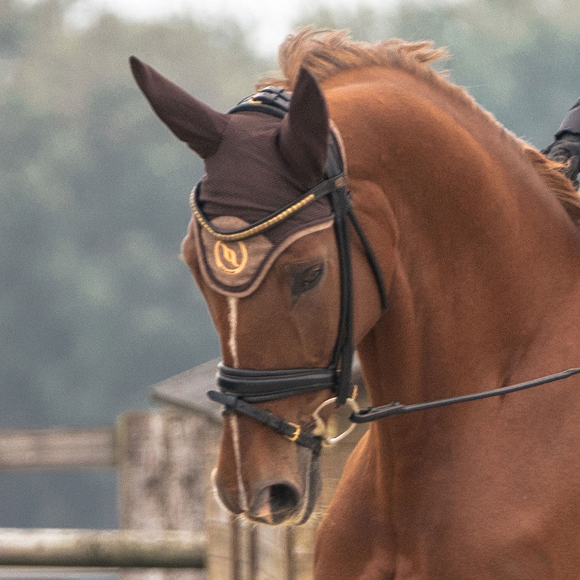 "Haze Collection" Horse Bonnet