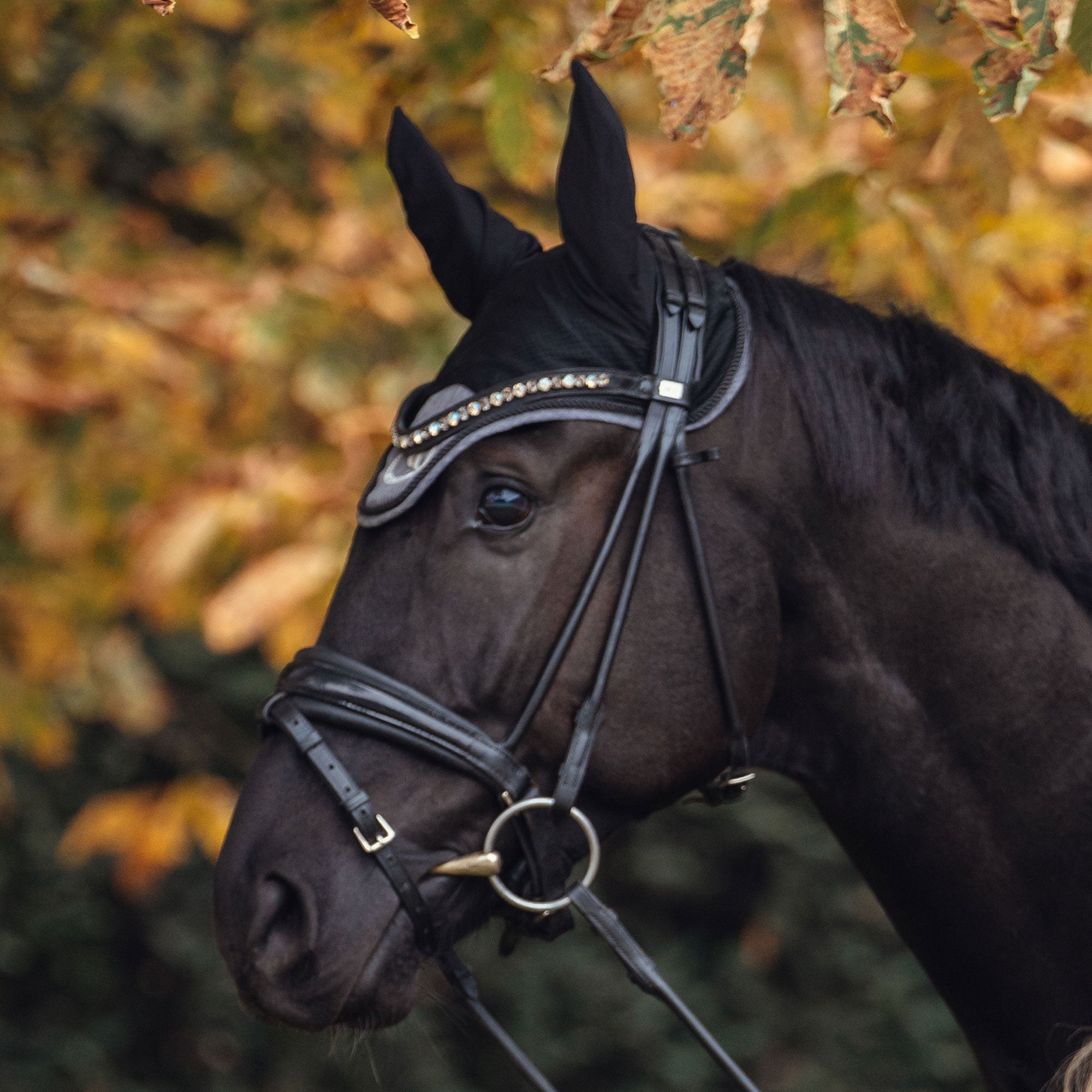 "Haze Collection" Horse Bonnet