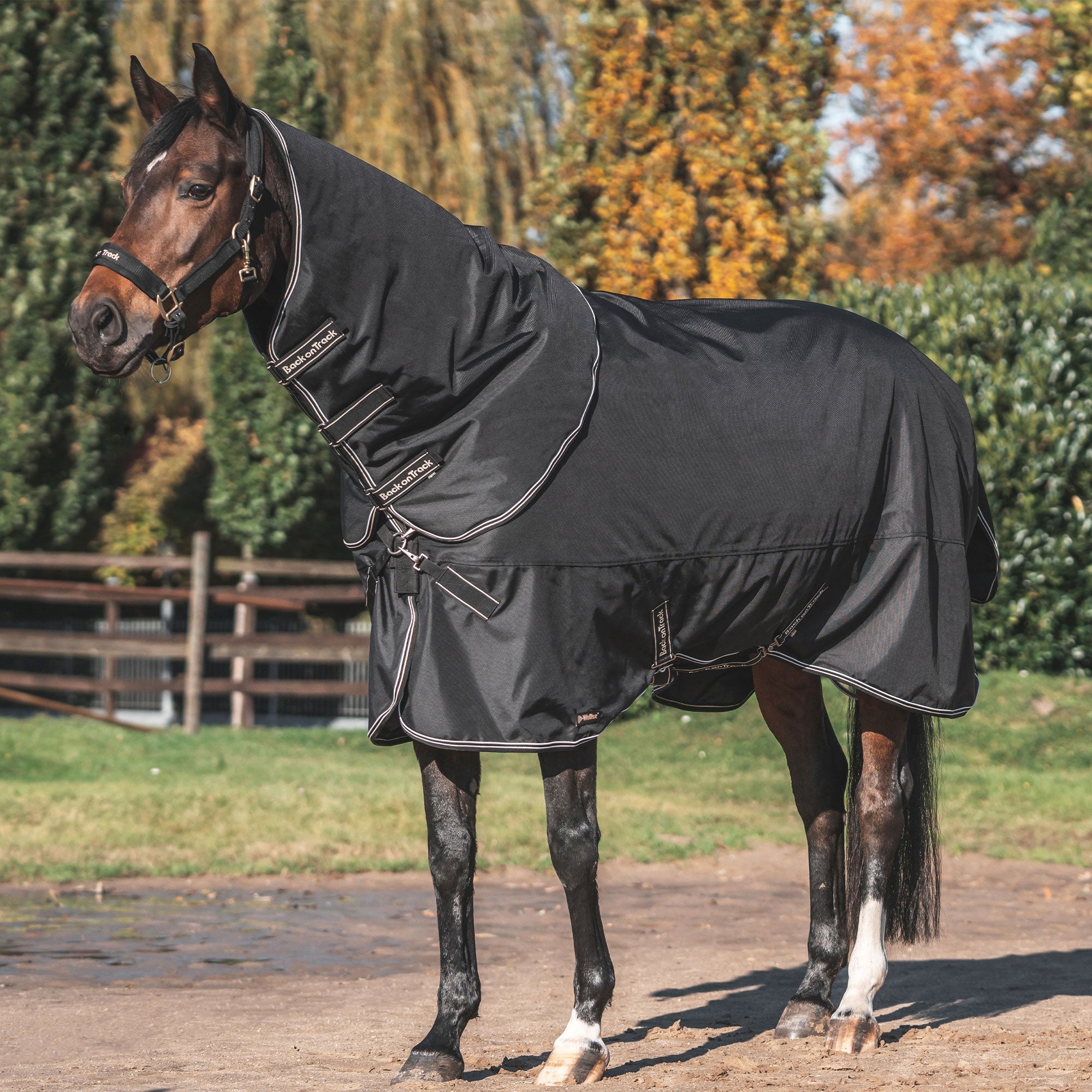 "Obsidian" Turnout Rug with Neck Cover