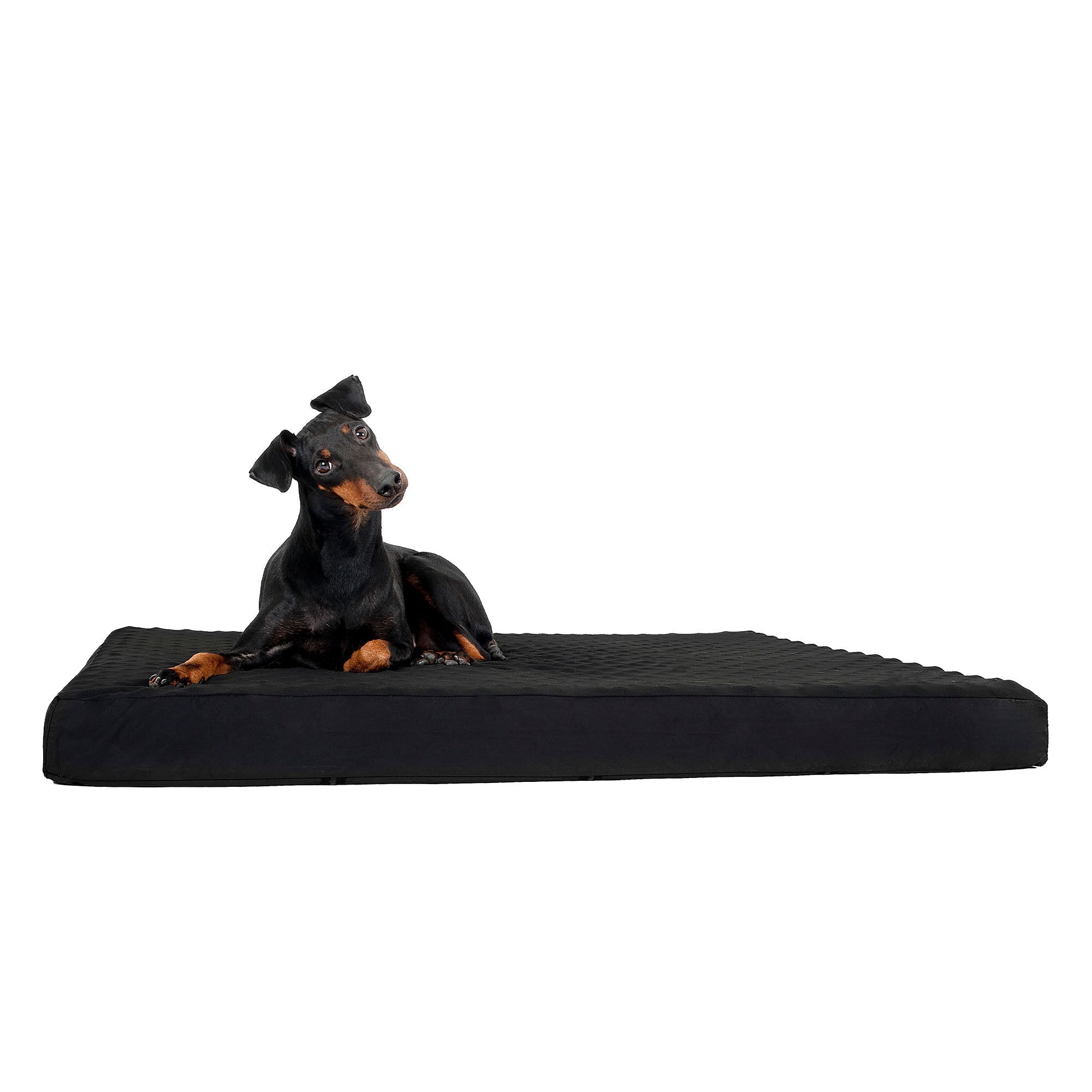 Dog Mattress
