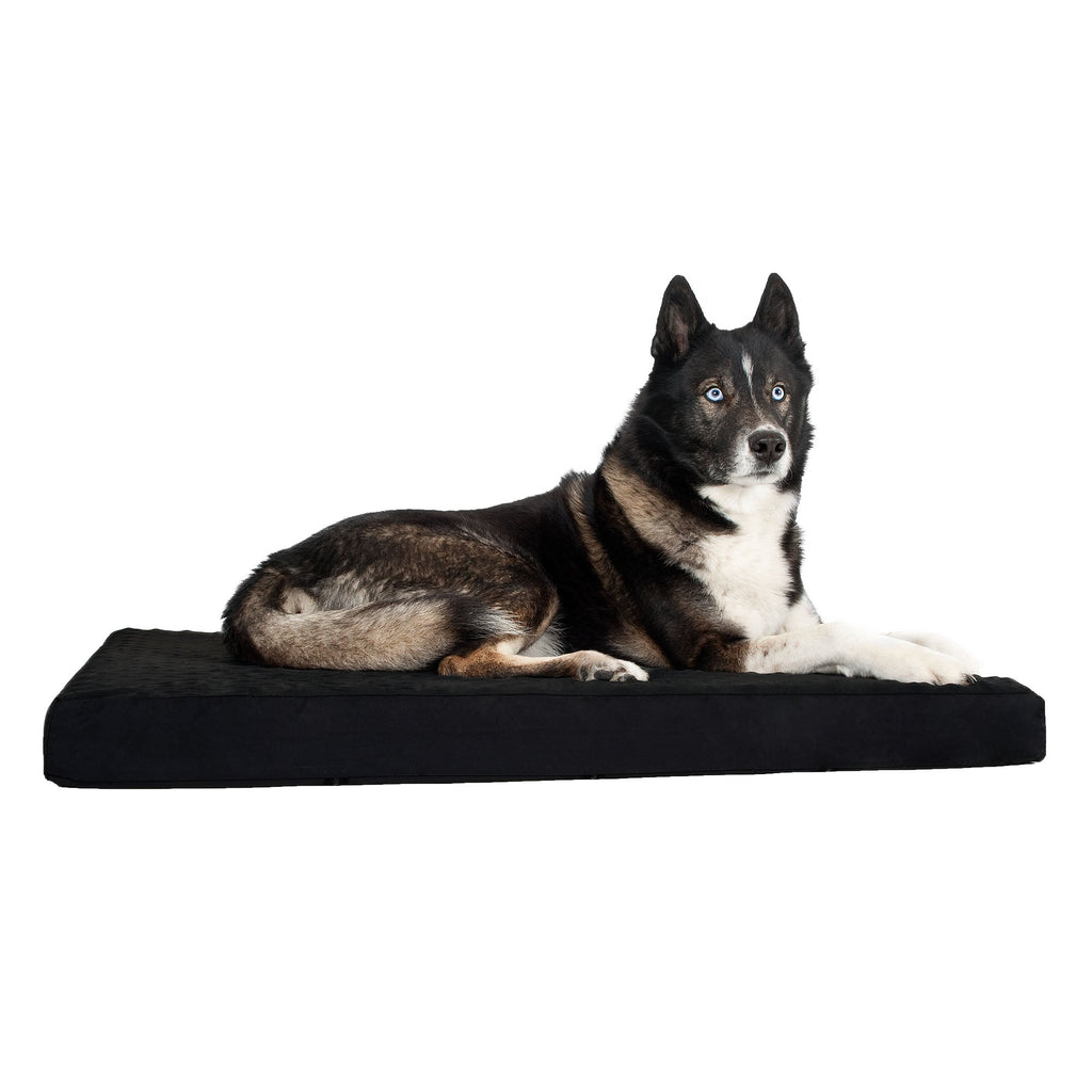 Dog Mattress