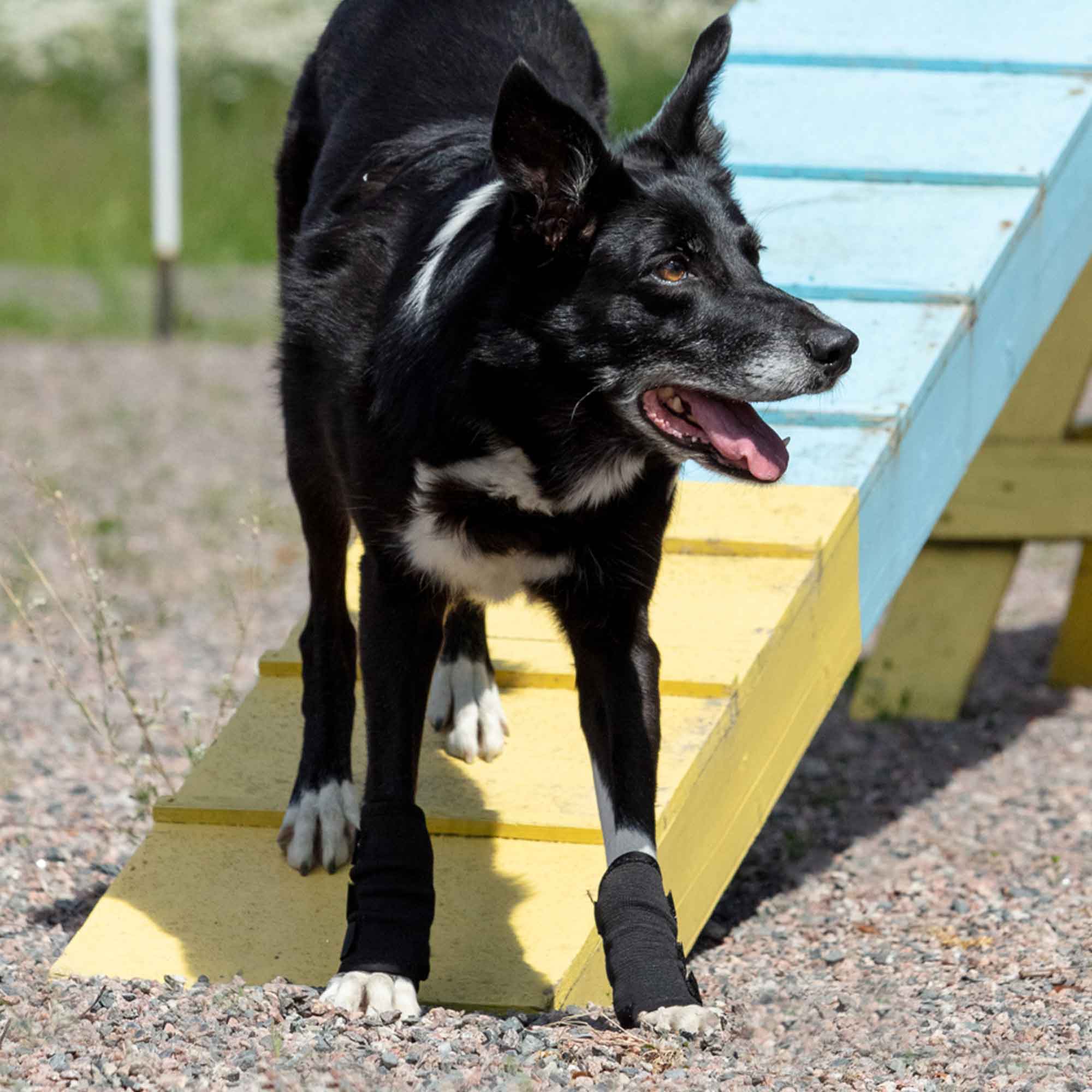 Dog Leg Brace