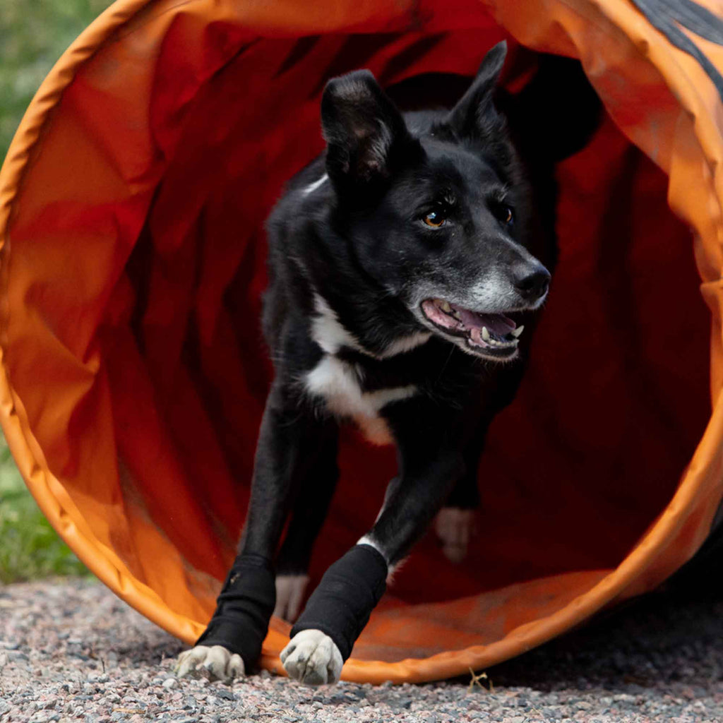 Dog Leg Brace