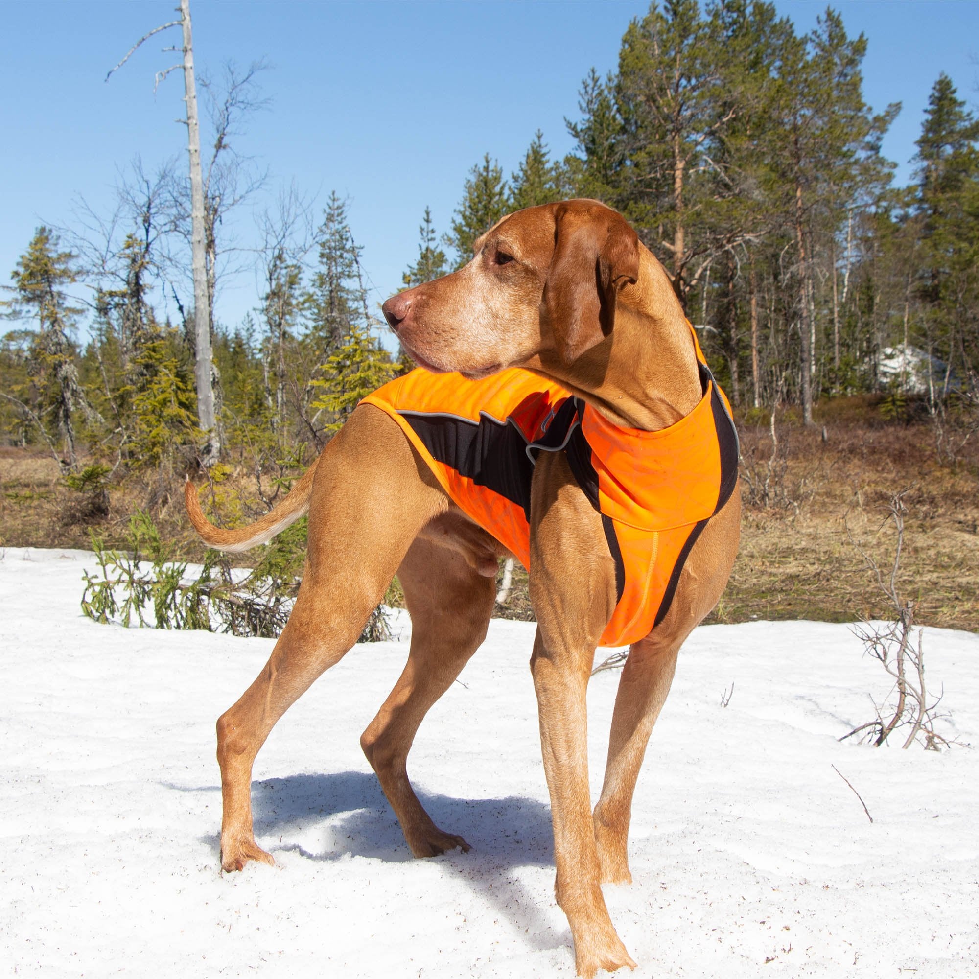 "Eddie" High visibility Jumper, no hanger