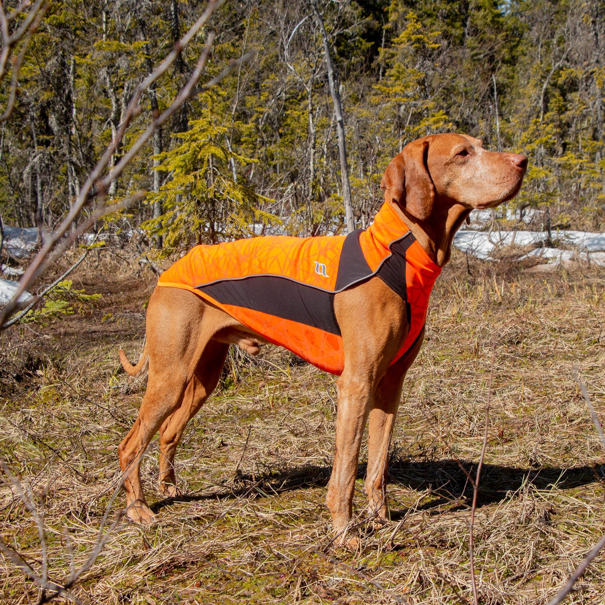 "Eddie" High visibility Jumper, no hanger