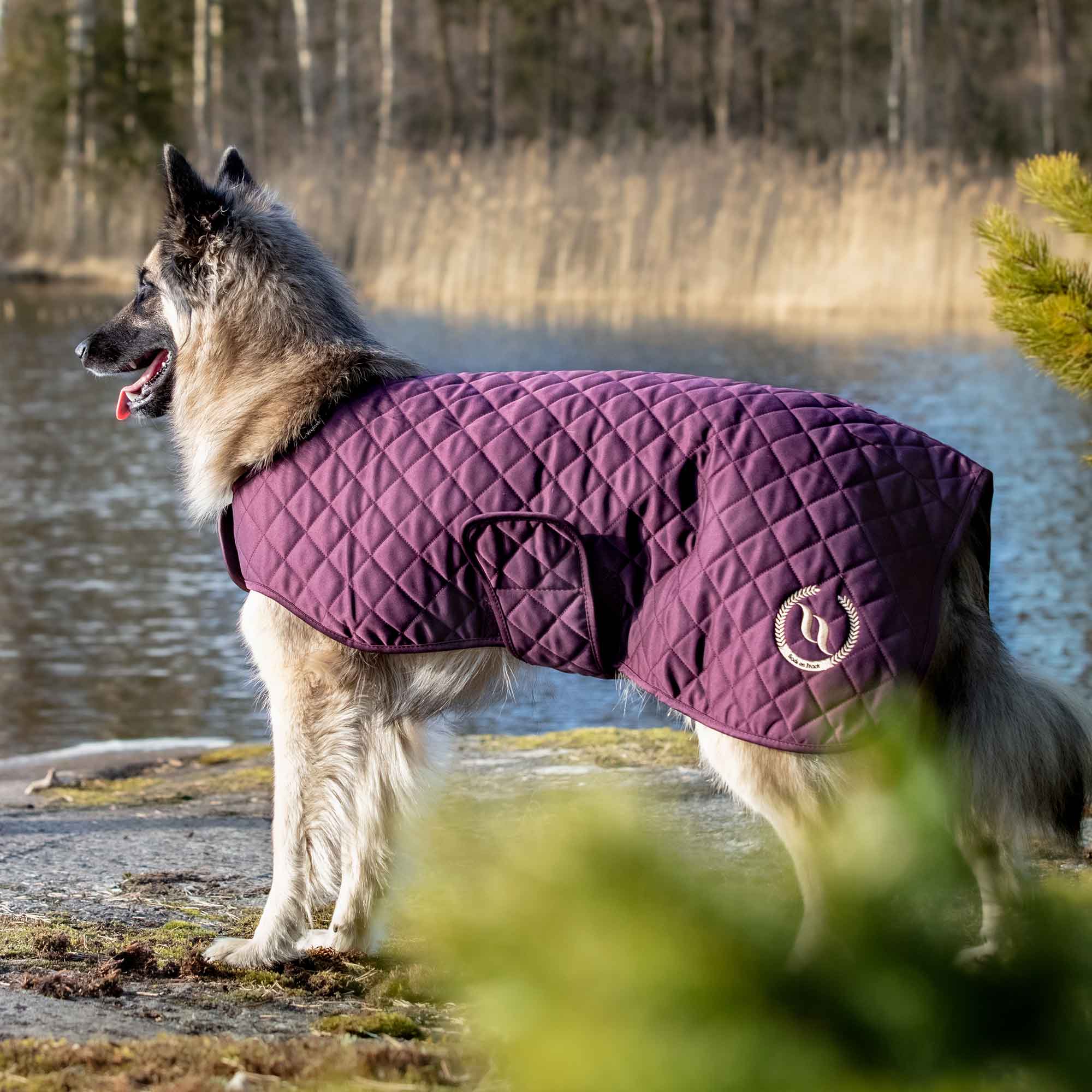 "Nights Collection" Dog Coat - Ruby 20cm